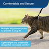 Pet Safe® Come With Me Kitty™ Cat Harness And Bungee Leash, Black