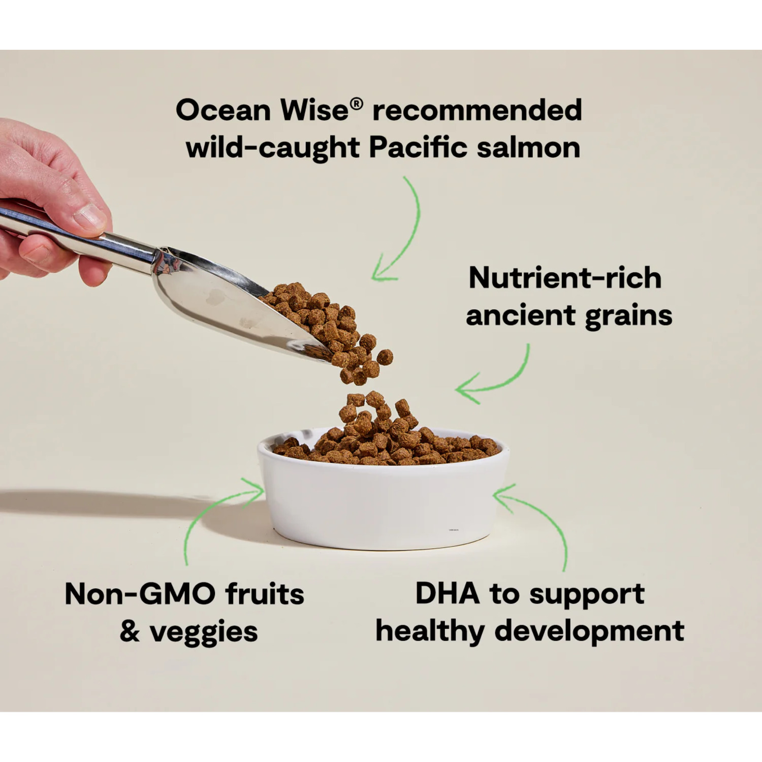 Open Farm Puppy Salmon Ancient Grains Recipe Dry Dog Food, 22Lb