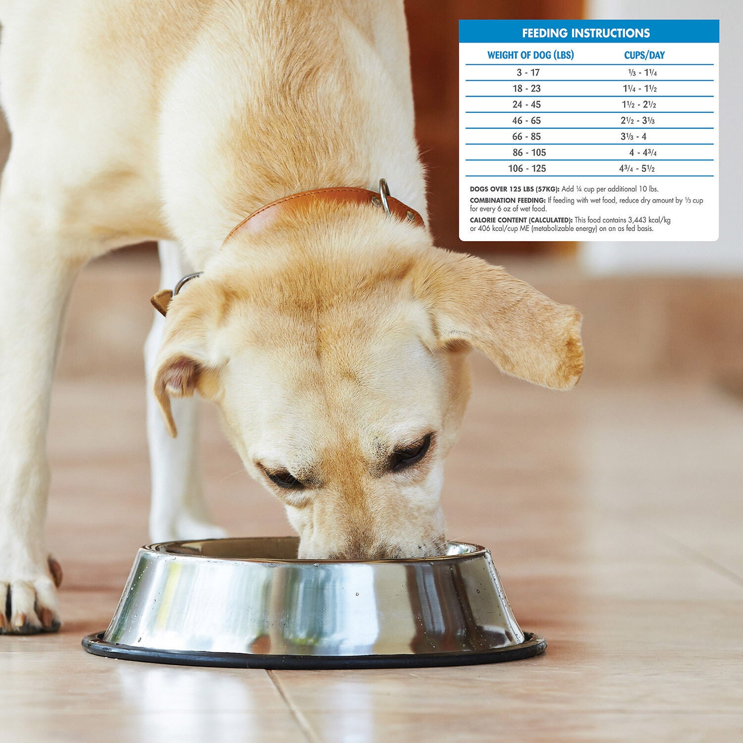 Wellness Simple Lamb Oatmeal Dog Food Pet Supermarket 26lb Pet Supermarket