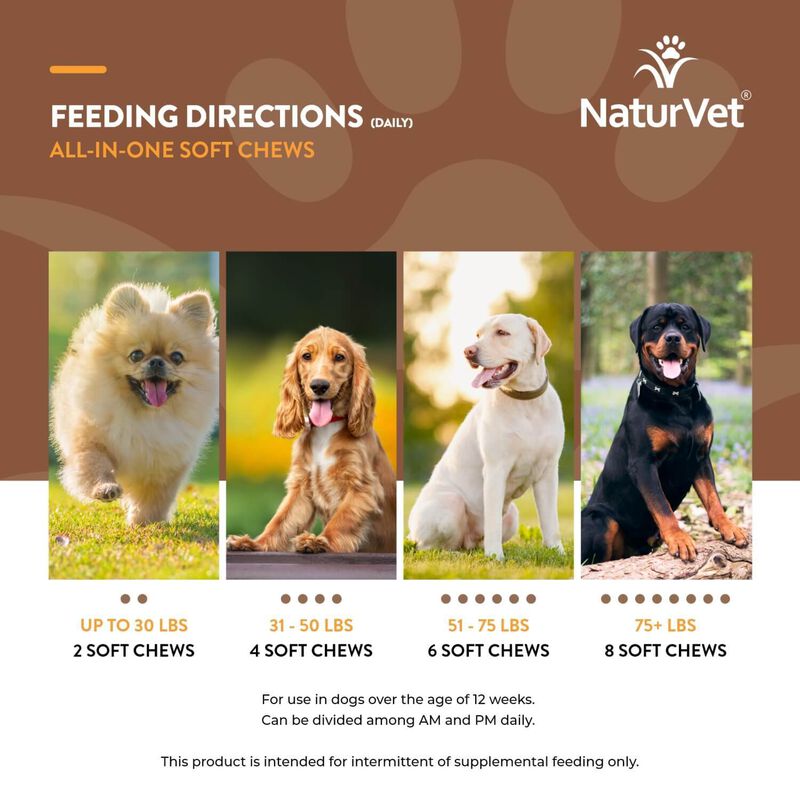 Natur Vet All In One Vitamin Dog Soft Chews