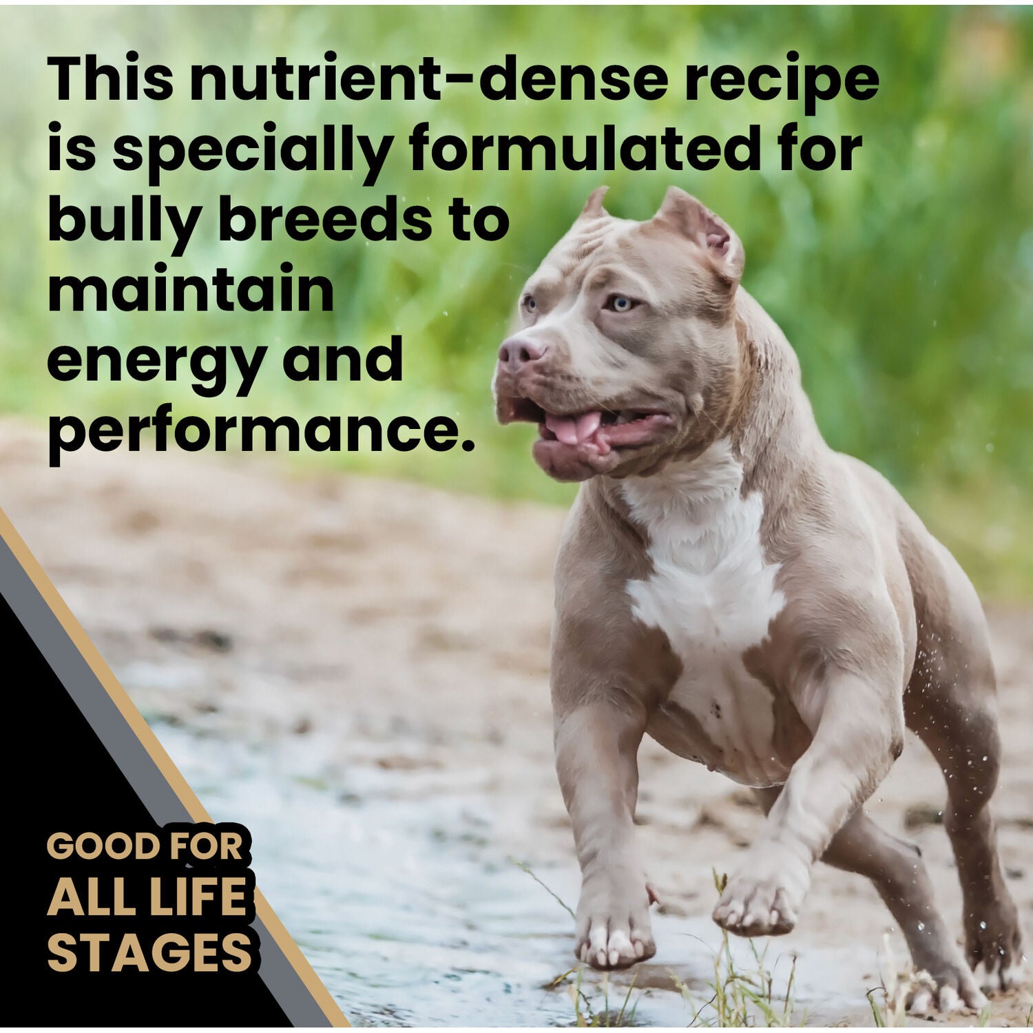 Victor Bully Fuel Pit Bull Dry Formula Dog Food, 40-Lb Bag
