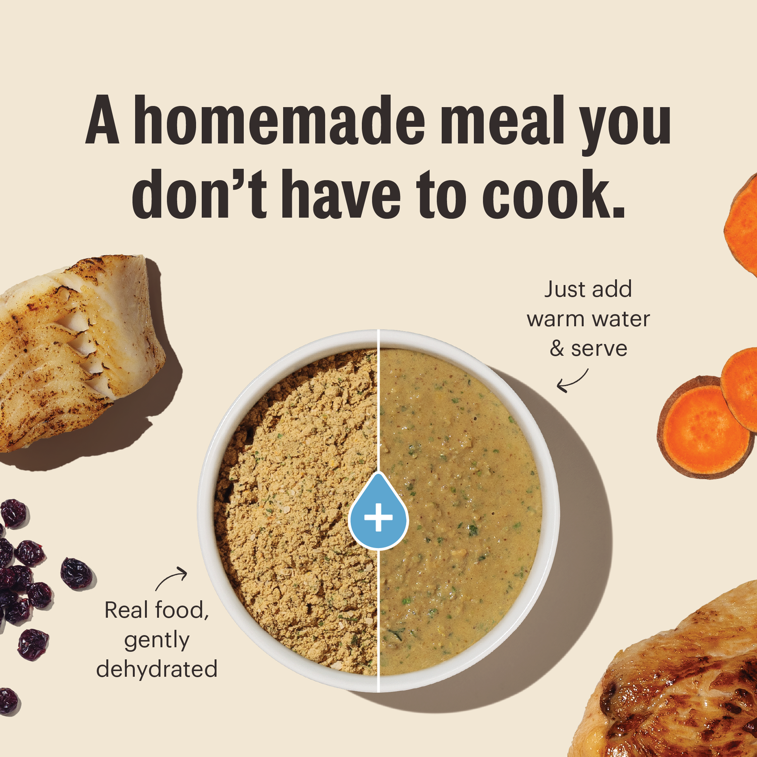 The Honest Kitchen Wholemade Grain Free Chicken & Fish Recipe Dehydrated Cat Food, 4-Lb Bag