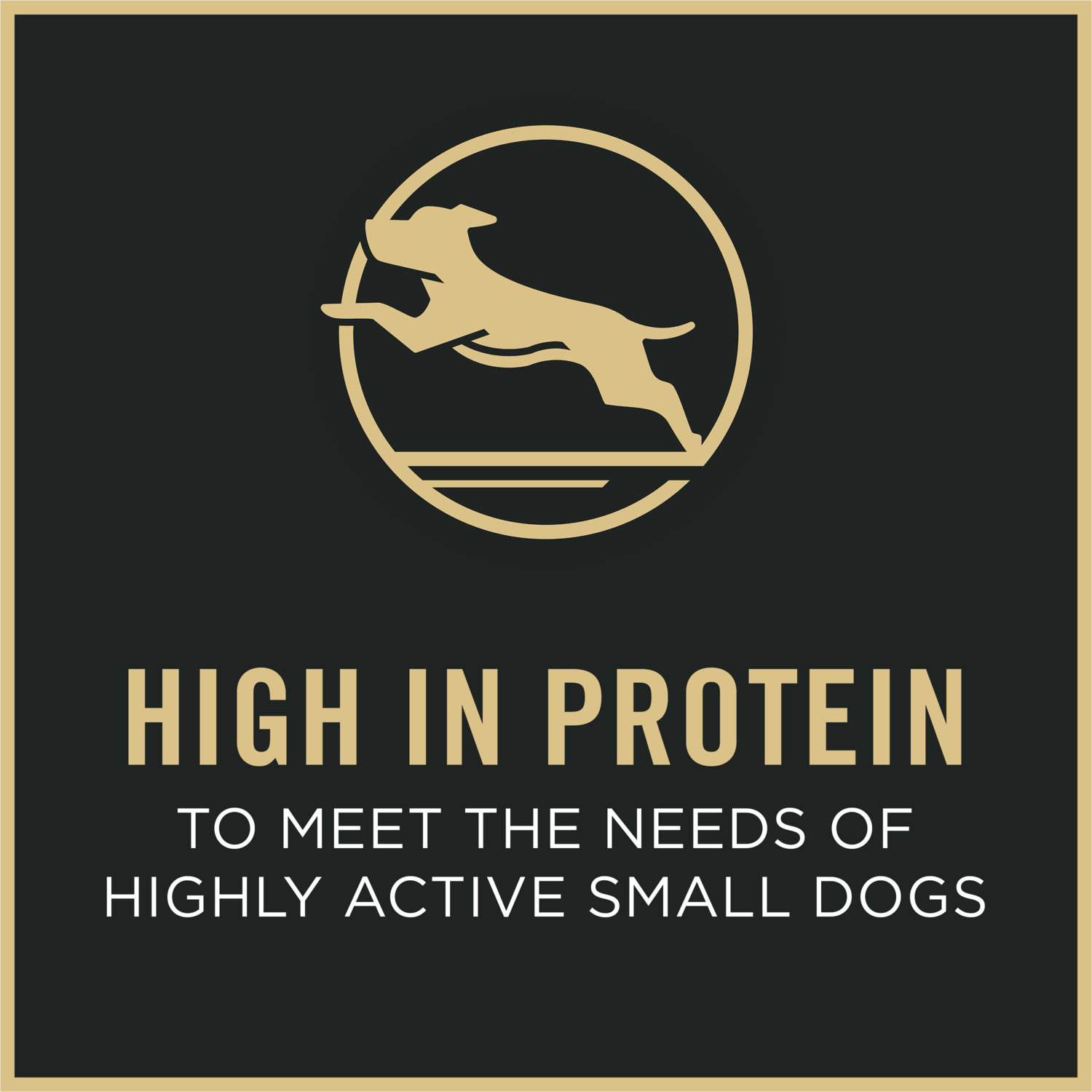 Purina Pro Plan Small Breed Dry Dog Food Chicken And Rice Formula With Guaranteed Live Probiotics, 6Lb