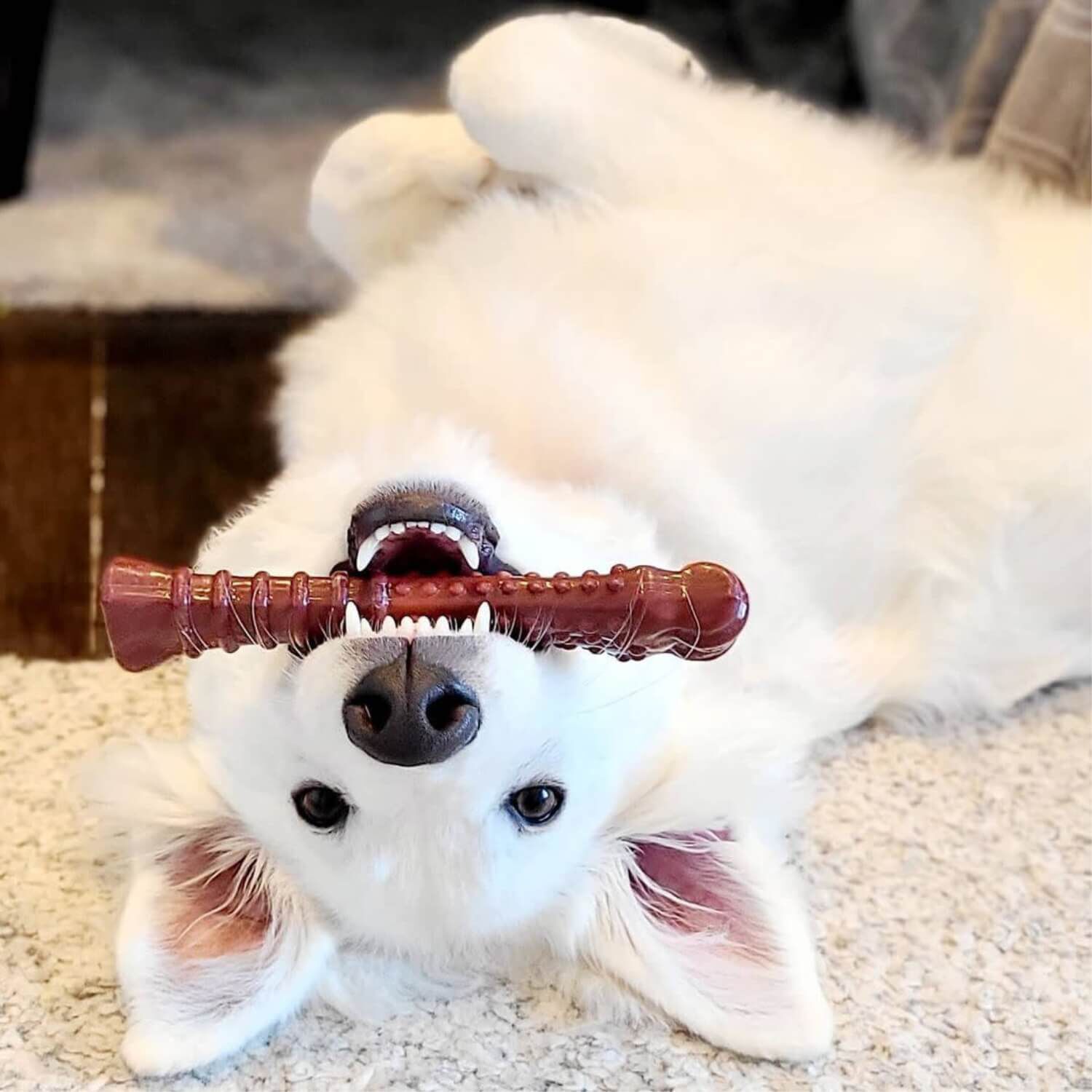 Nylabone Flavor Frenzy Power Chew Dog Toy - Beef Jerky Flavor