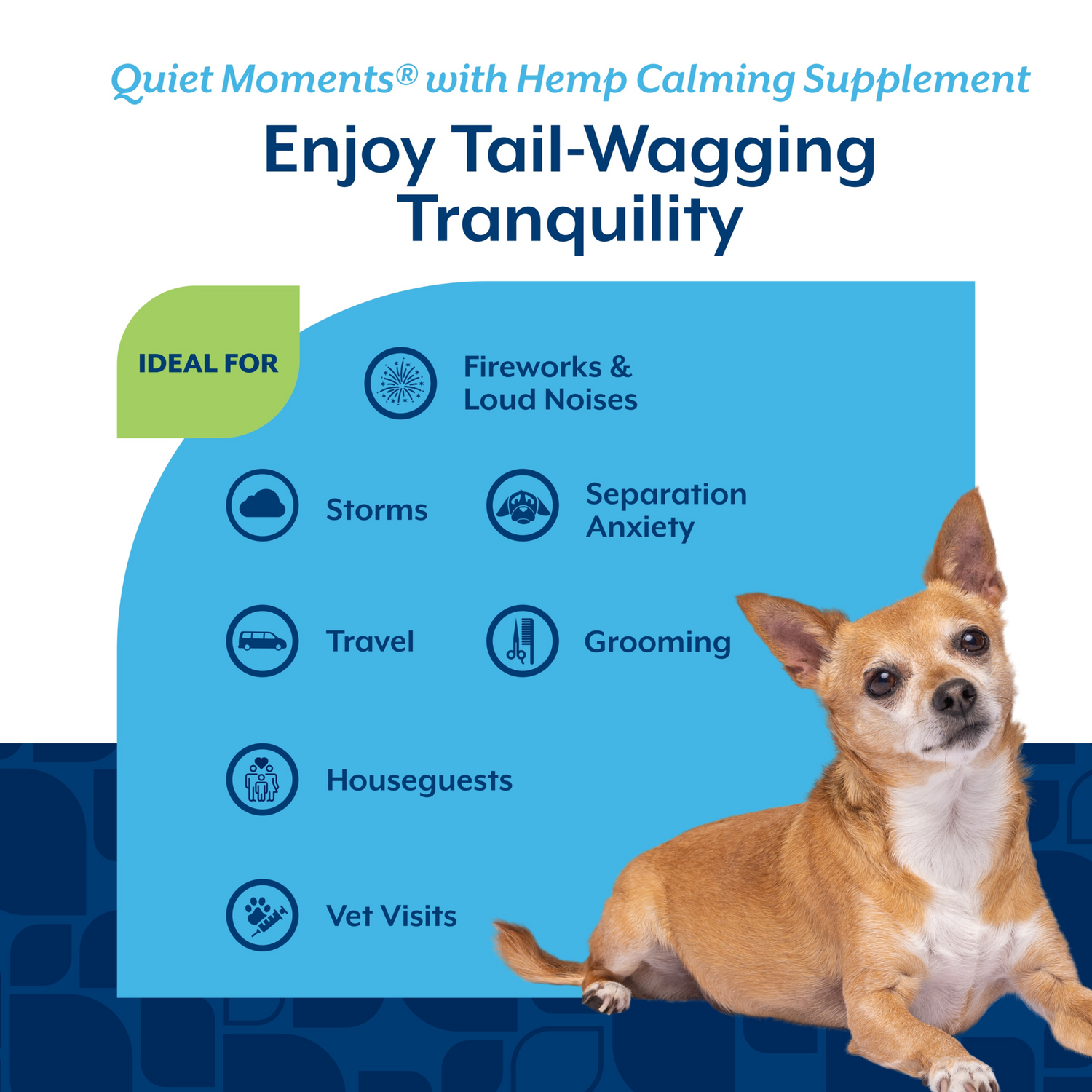 Naturvet Hemp Quiet Moments Calming Aid Soft Chews For Dogs