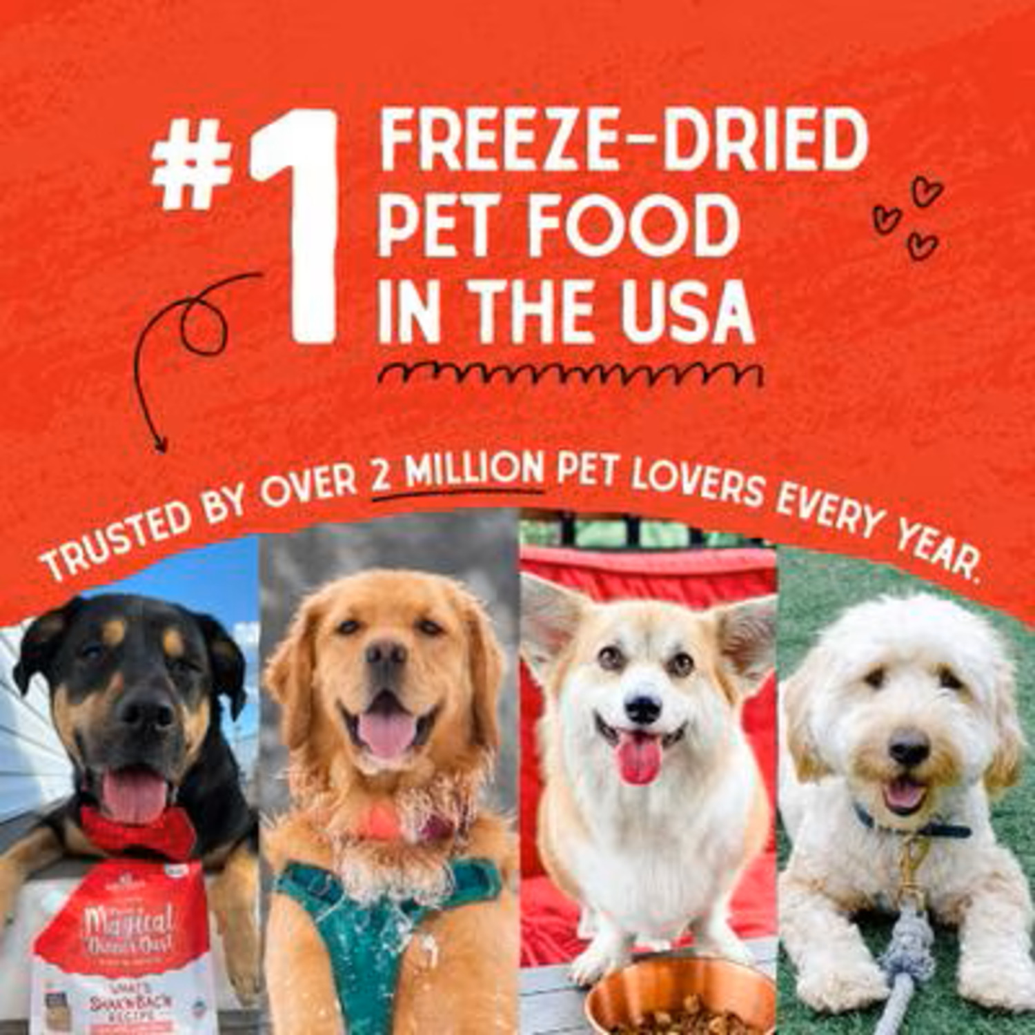 Stella & Chewy's Raw Blend Wholesome Grains Baked Dry Dog Food, Cage Free Recipe, 3.5-Lb Bag