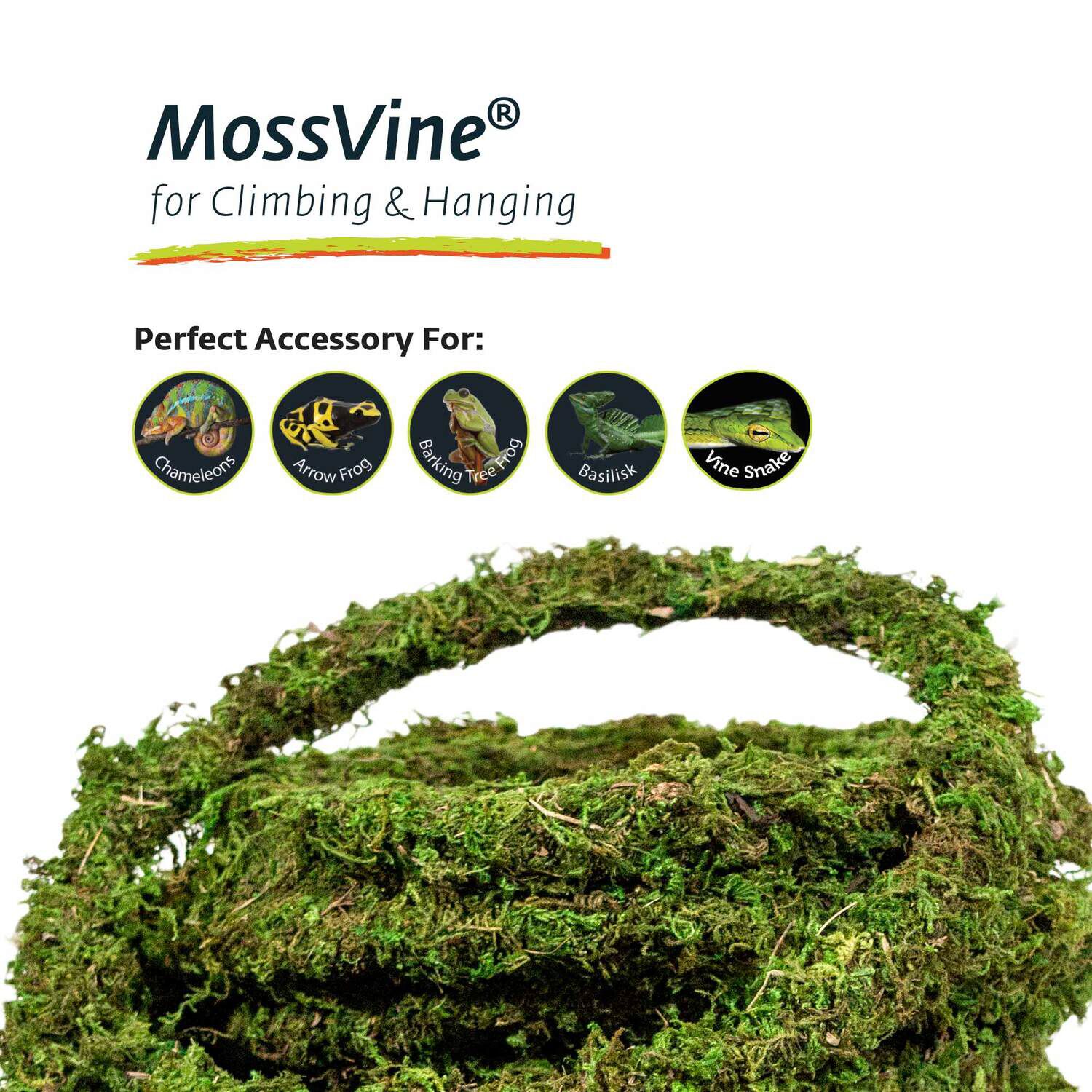 Gal&aacute;pagos Mossvine Terrarium Substrate, Fresh Green, 12Ft