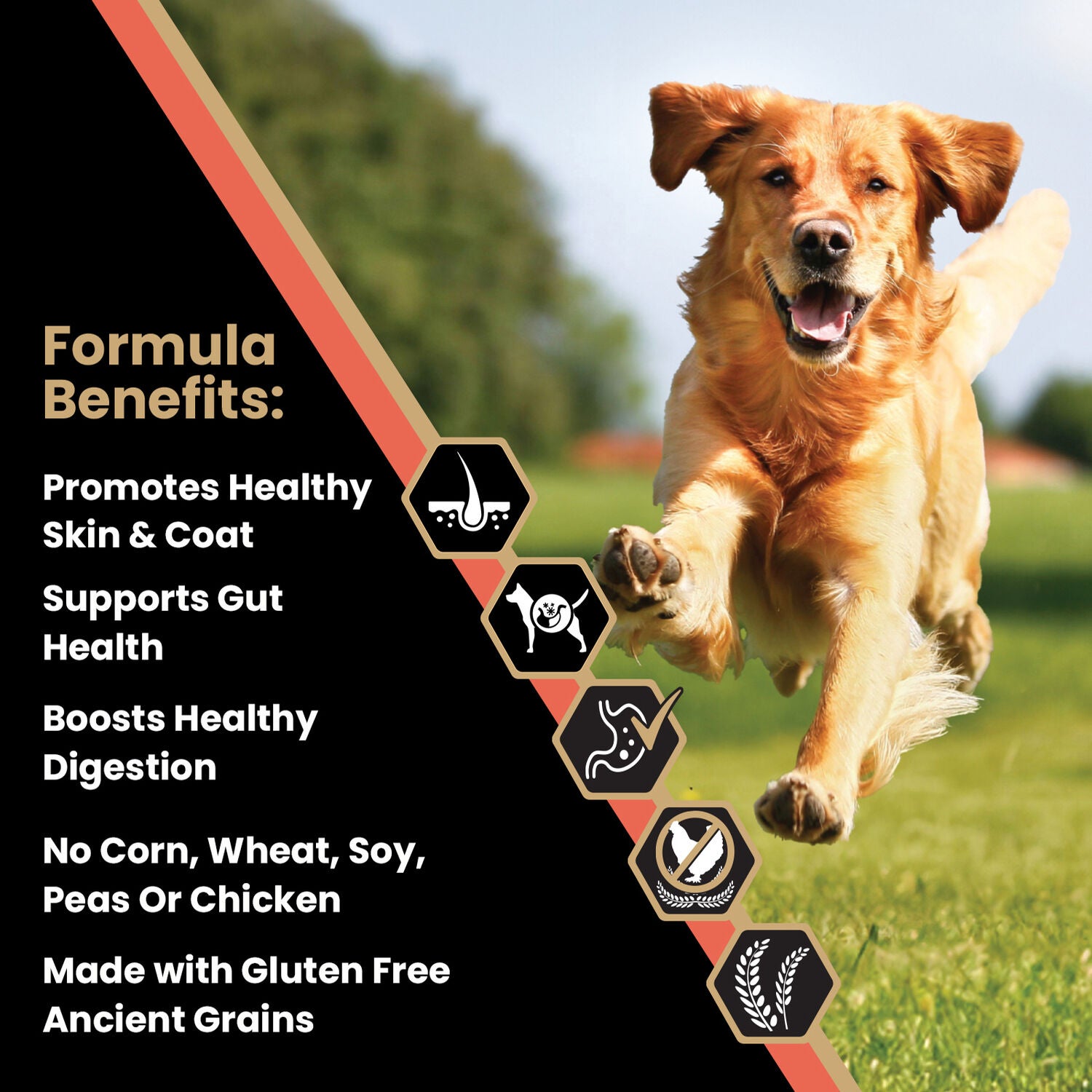 Victor Sensitive Skin And Stomach Dry Dog Food, Salmon Meal And Brown Rice Recipe, 15-Lb