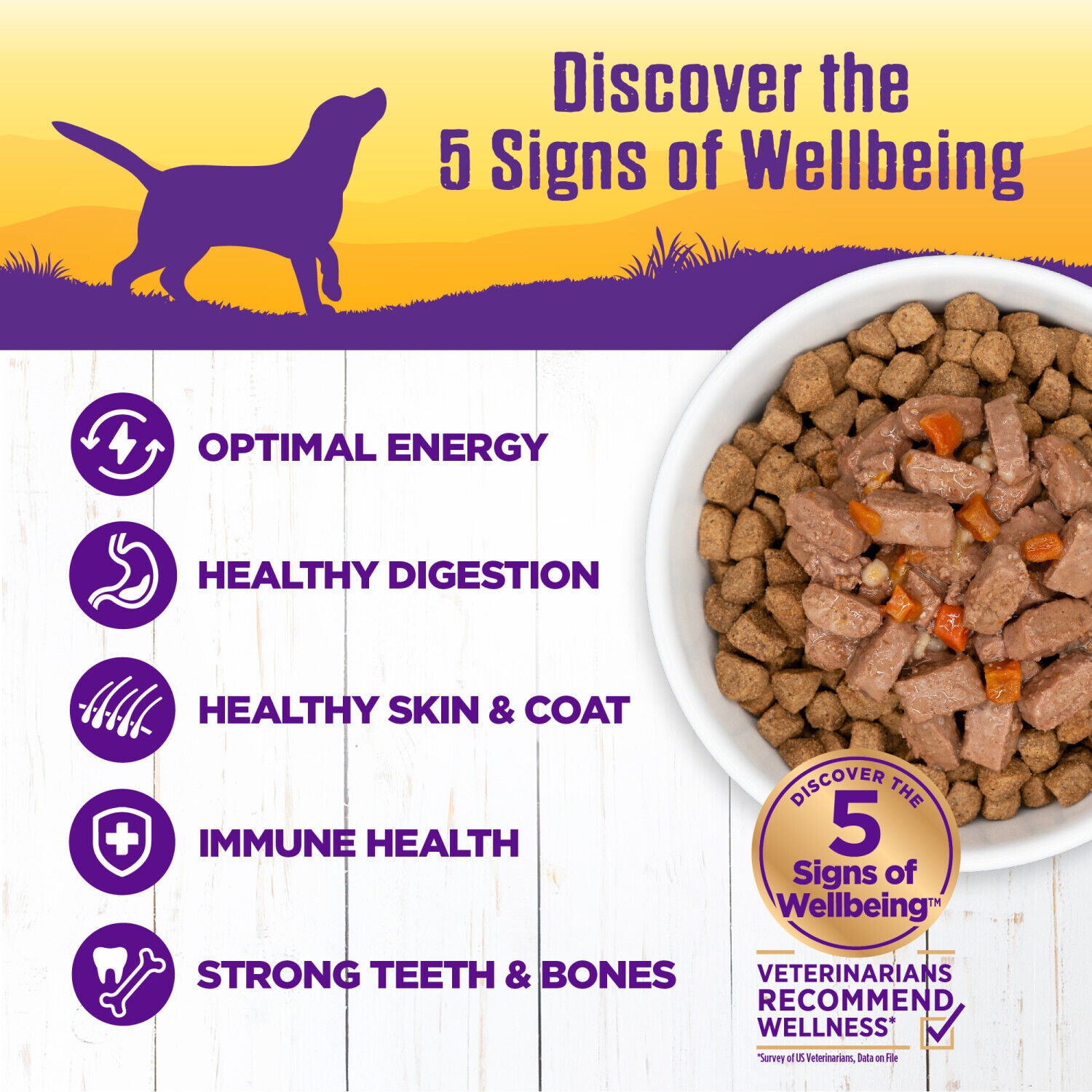 Wellness Complete Health Canned Wet Dog Food, Turkey Stew, 12.5-Ounce Can