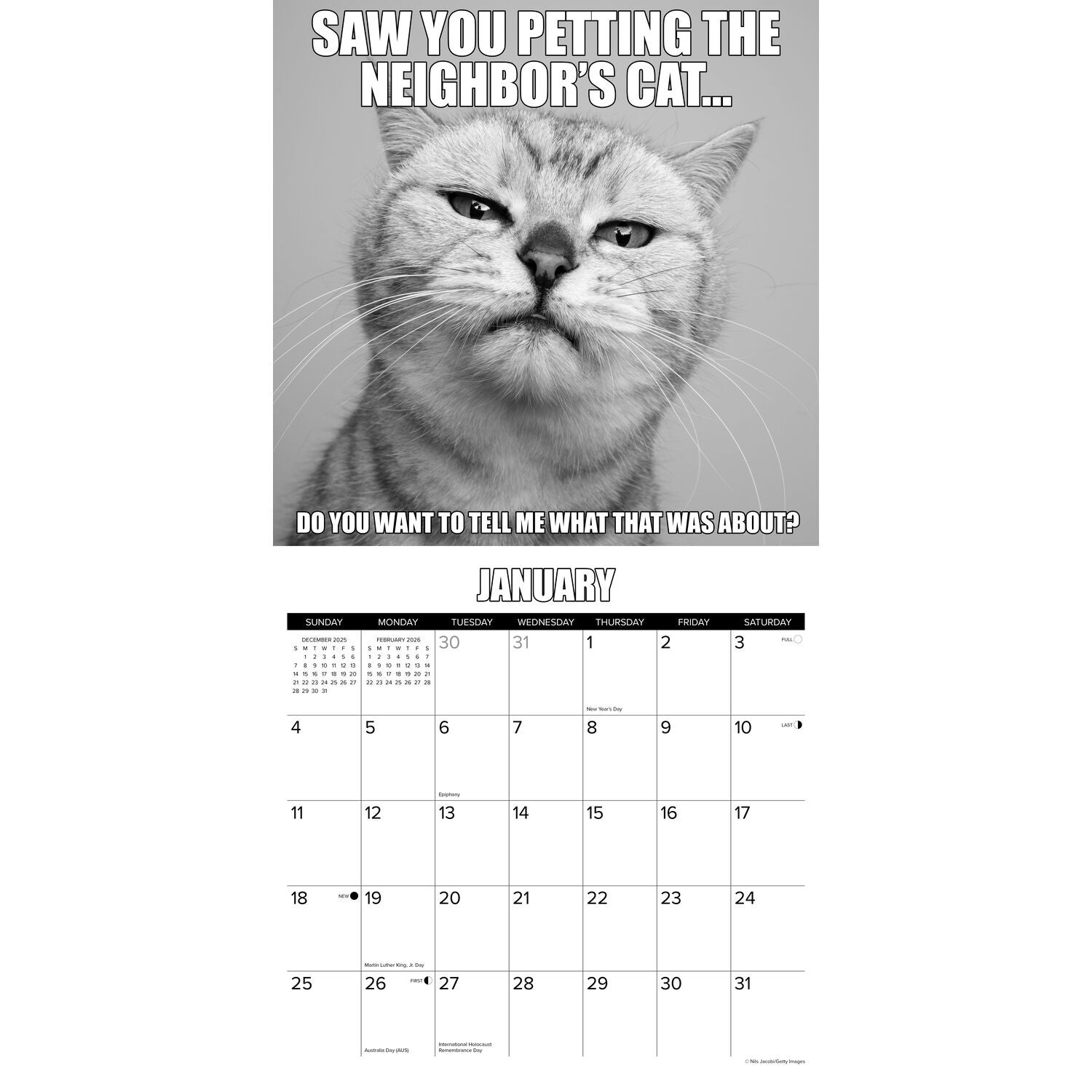 Willow Creek Press 2026 Cat-Astrophe Wall Calendar