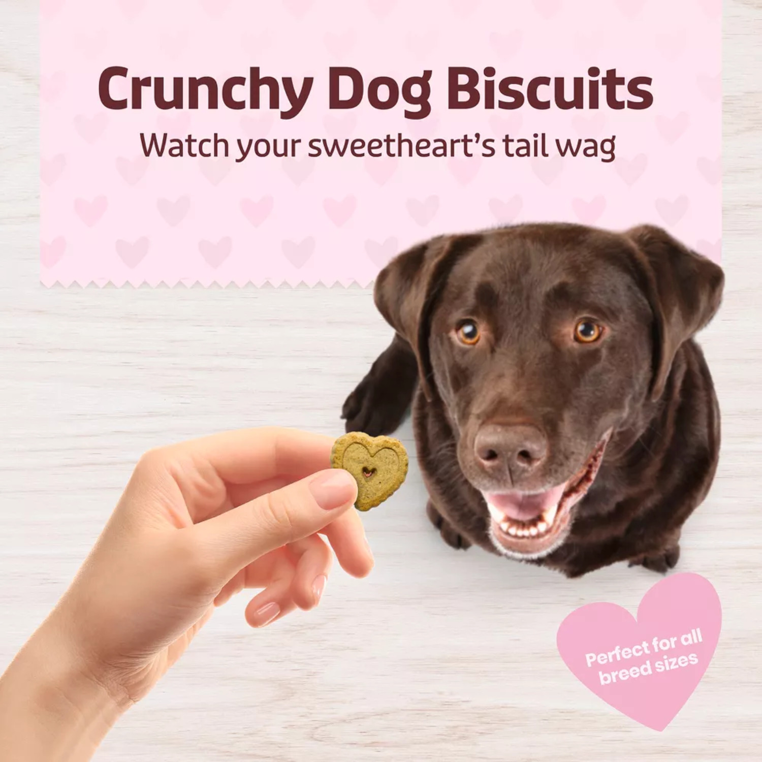 Blue Buffalo Be Mine Bars Heart-Shaped Healthy & Crunchy Dog Biscuits, Natural Valentine&rsquo;S Dog Treats, Baked With Oatmeal & Cinnamon, 11-Oz Bag
