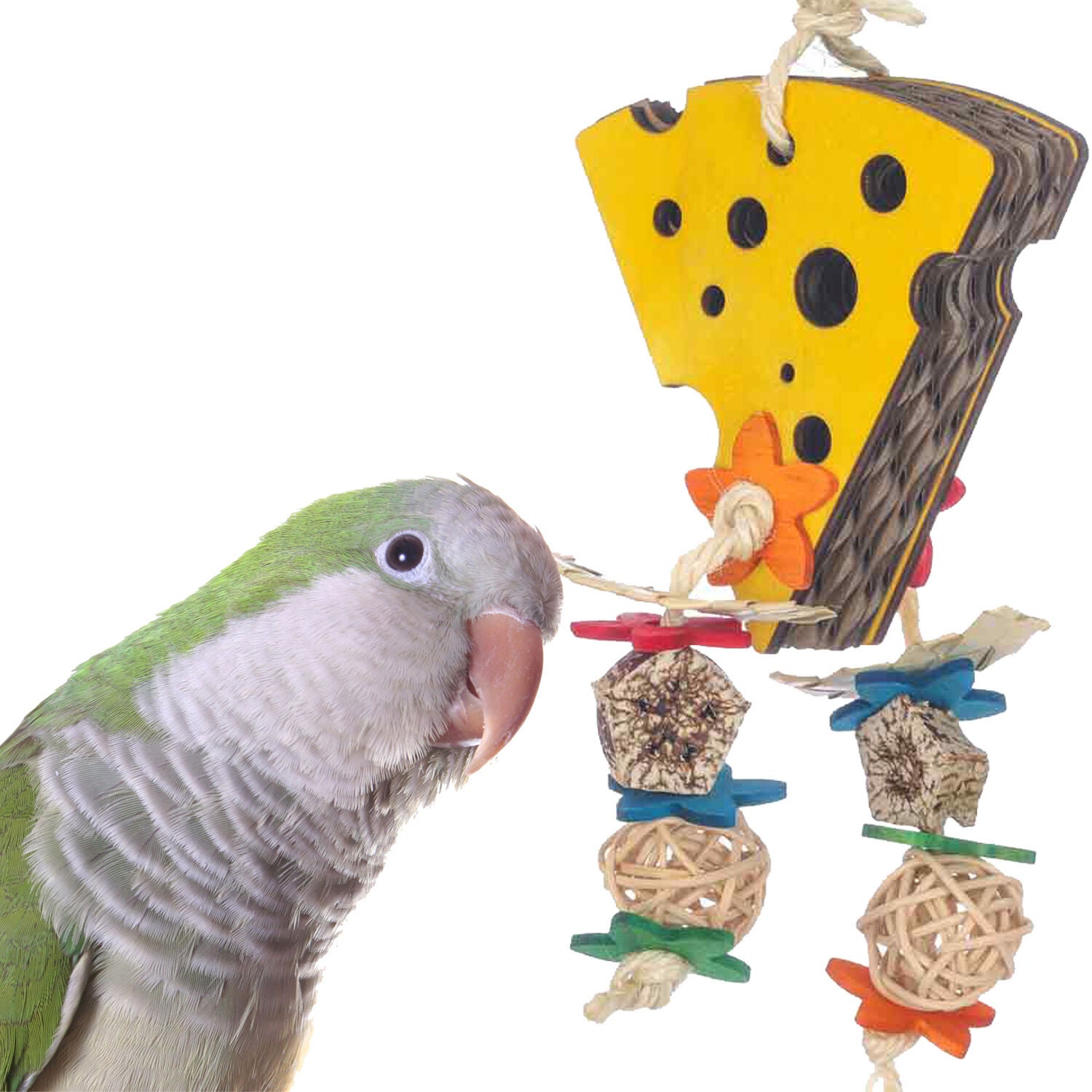 Super Bird Creations Cheese Forager Bird Toy