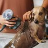 Shampooch Pro 5 Spray Water Sense Pet Washer thumbnail number 4