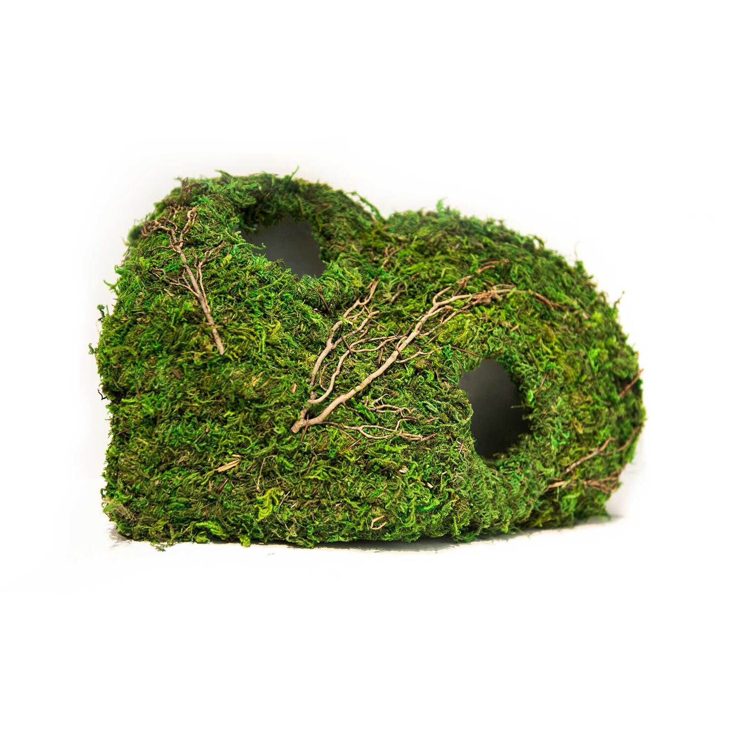 Gal&aacute;pagos Sapa Corner Reptile Hideout, Green, 10 X 5.5In