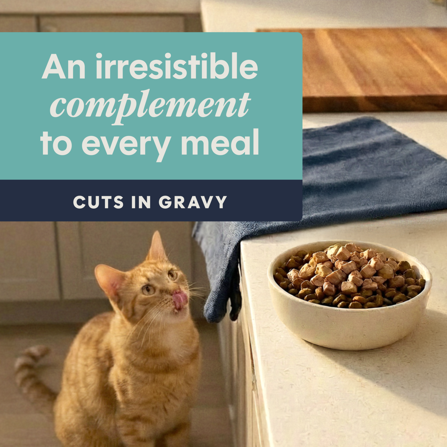 Instinct Healthy Cravings Grain-Free Real Tuna Recipe In Savory Gravy Wet Cat Food Topper, 3-Oz, Pack Of 24