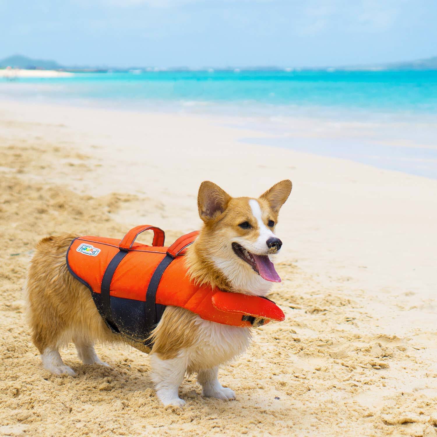 Outward hound ripstop life jacket outlet