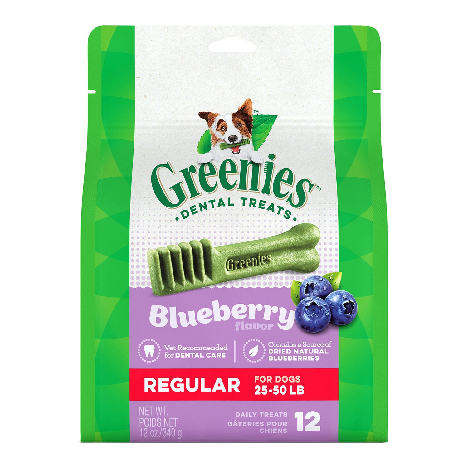 Blueberry Flavor Dental Treats Regular 12oz Pet Supermarket