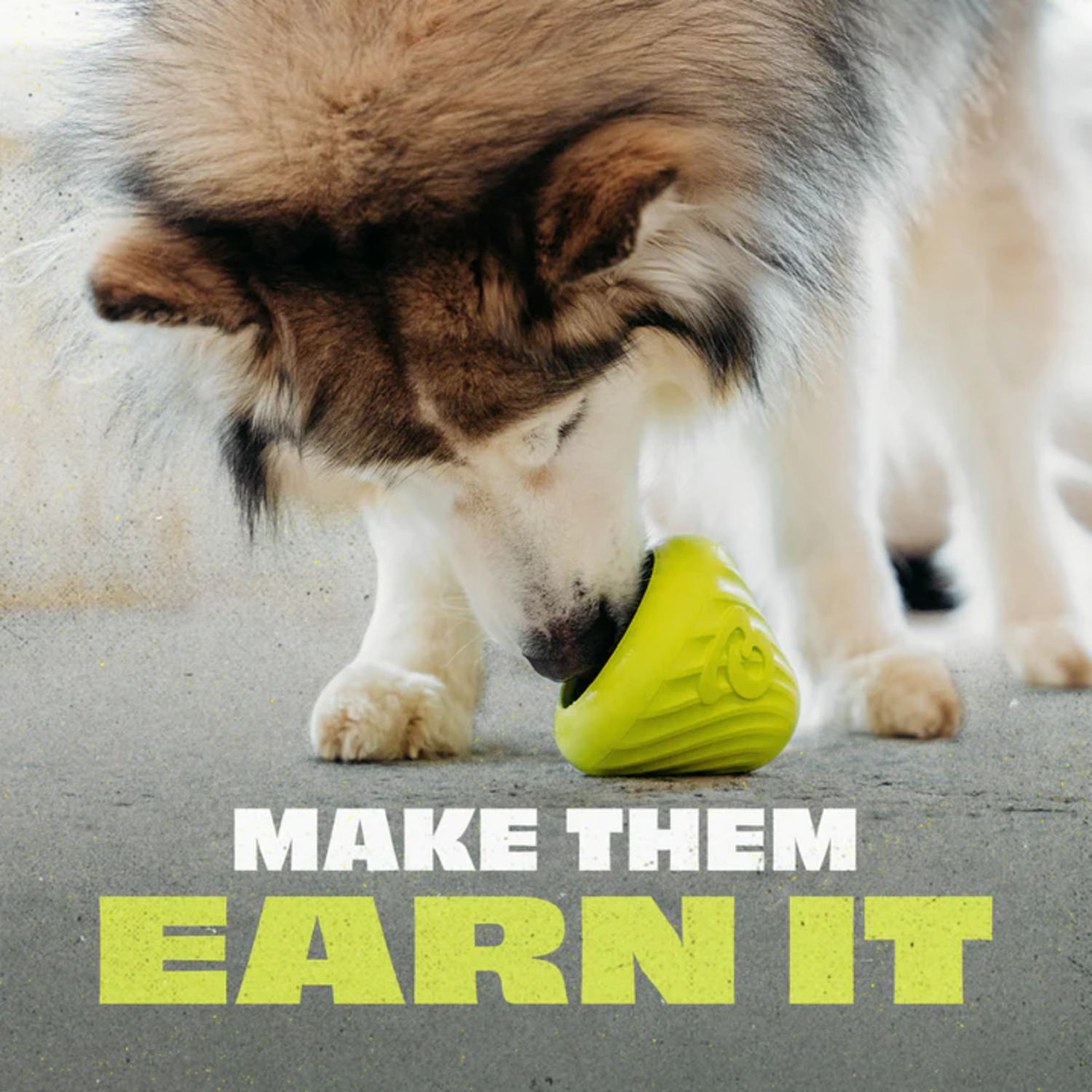 Benebone Rubber Cone Treat Dispensing Dog Toy