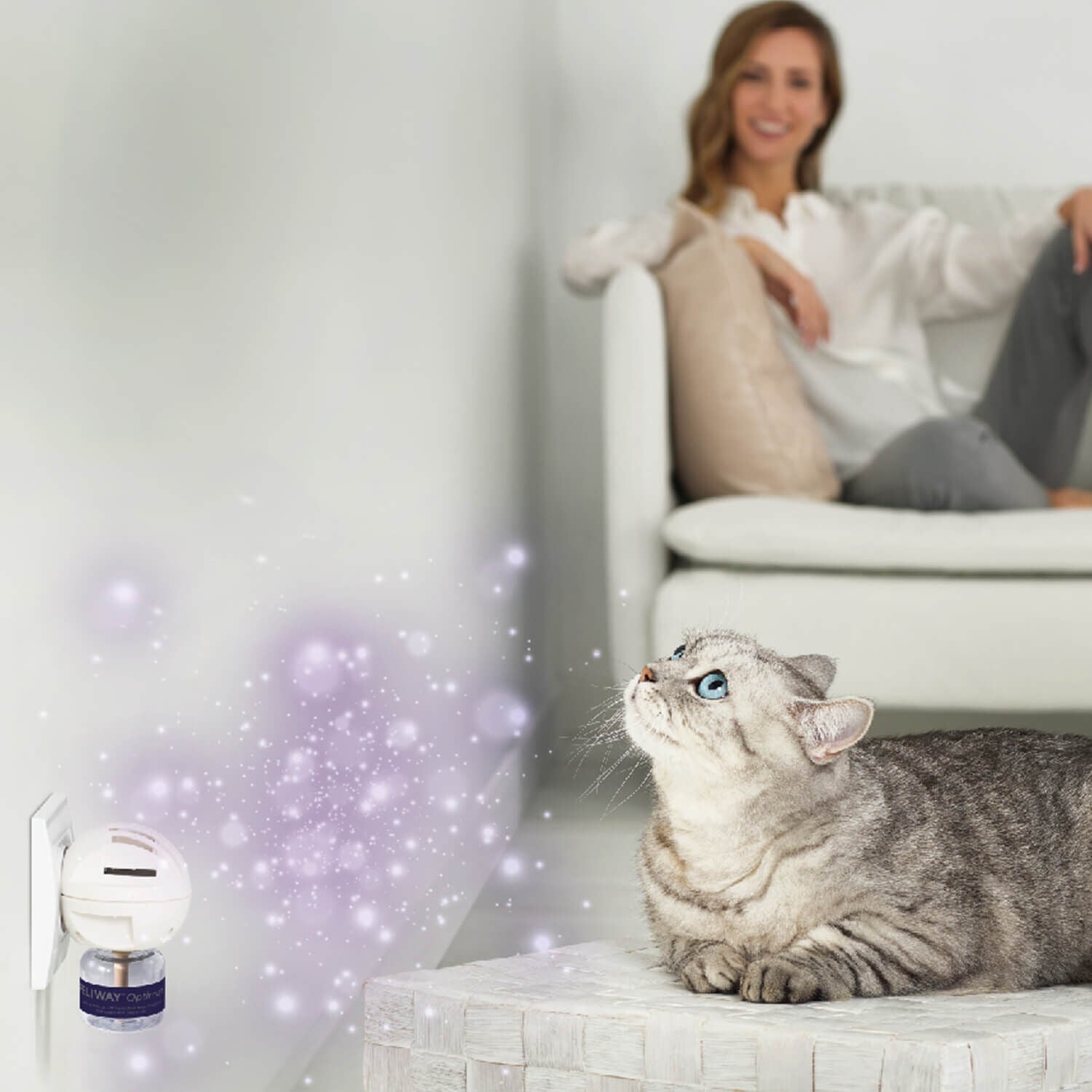Feliway Optimum Cat,Enhanced Calming Pheromone Diffuser Starter