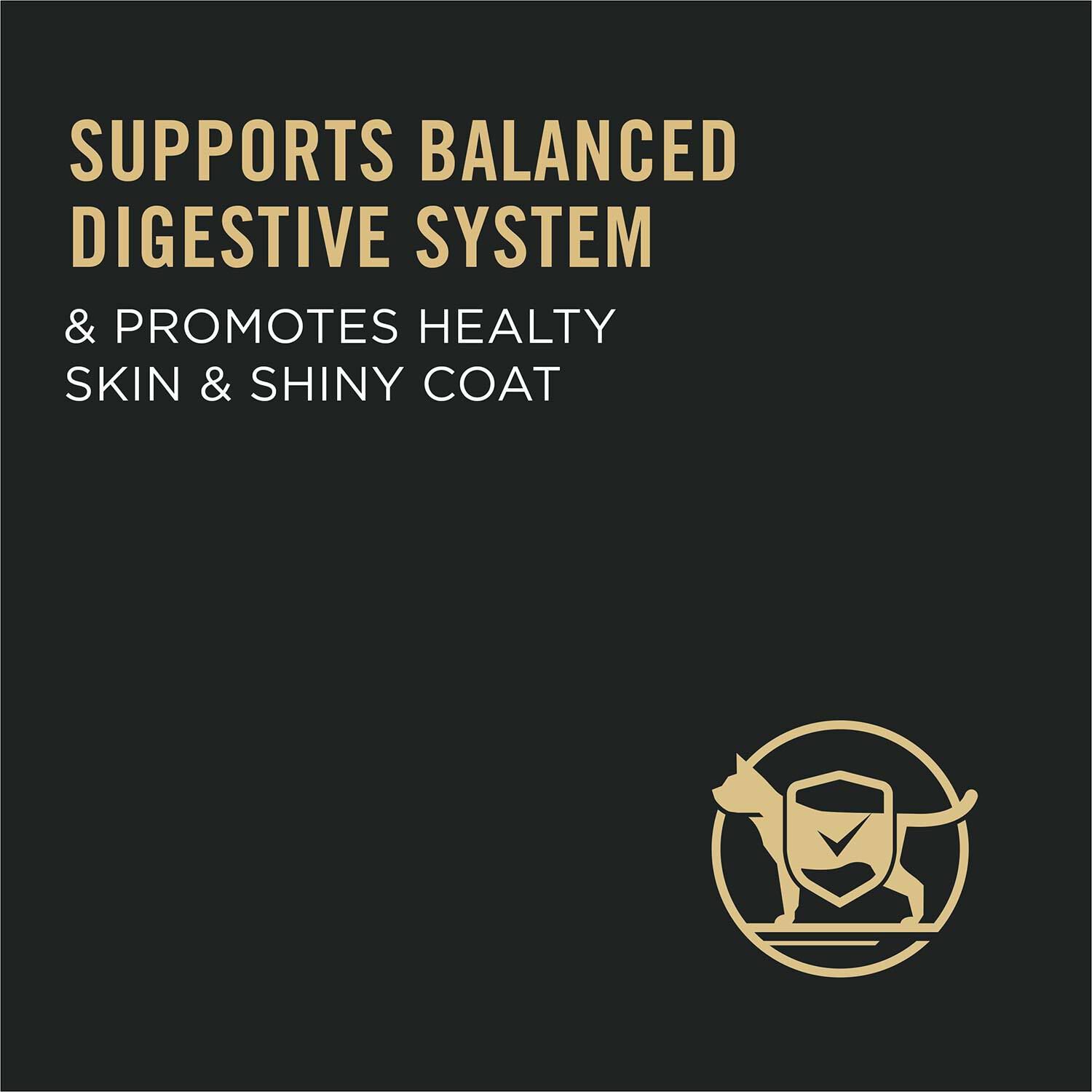 Purina Lamb Rice Sensitive Stomach Cat Food Pet Supermarket 16lb Pet Supermarket