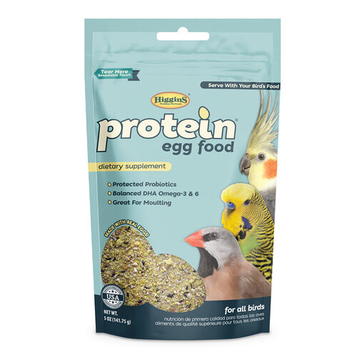 Protein Egg Bird Food
