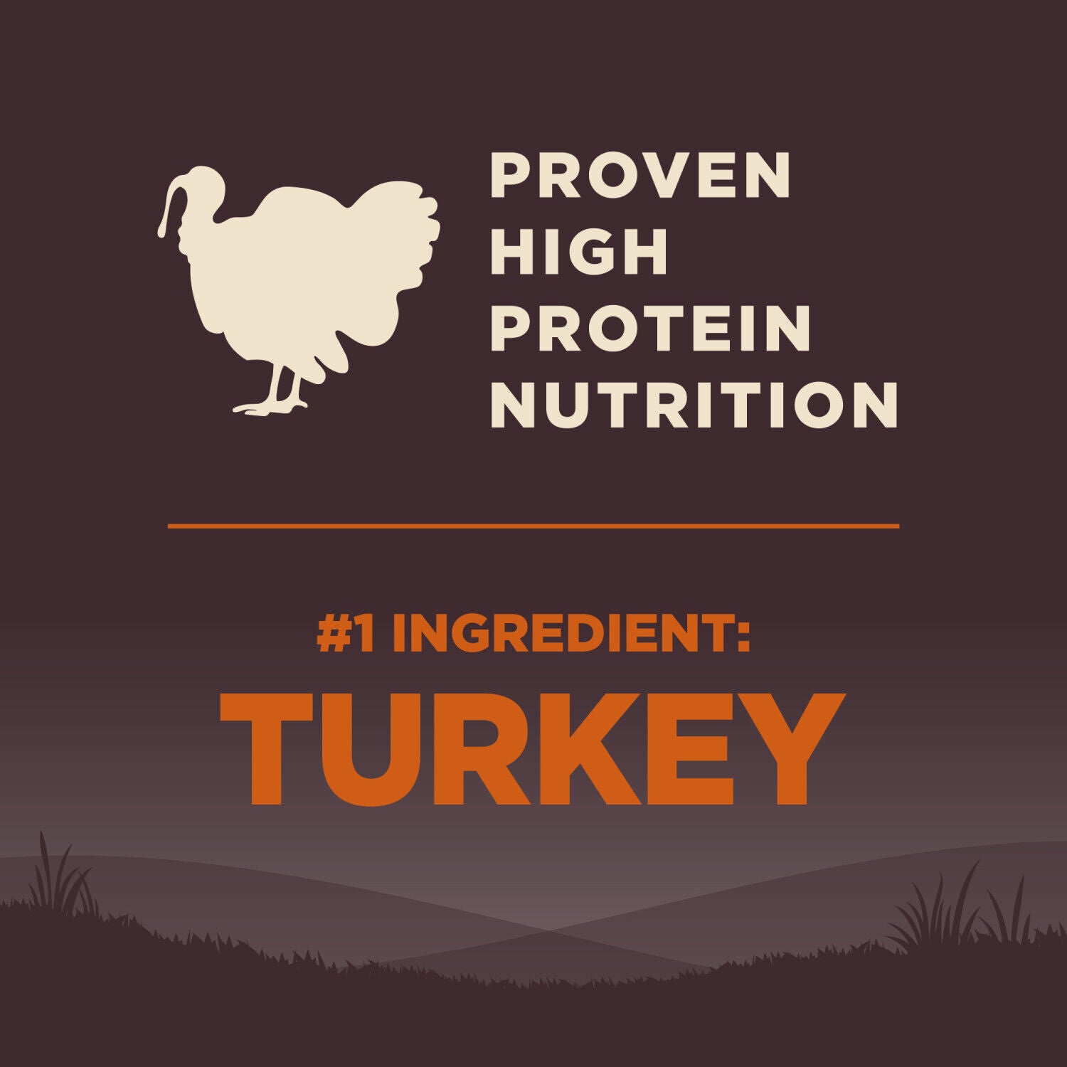 Wellness Core Natural Grain Free Dry Dog Food Original Turkey & Chicken Recipe, 24-Pound Bag