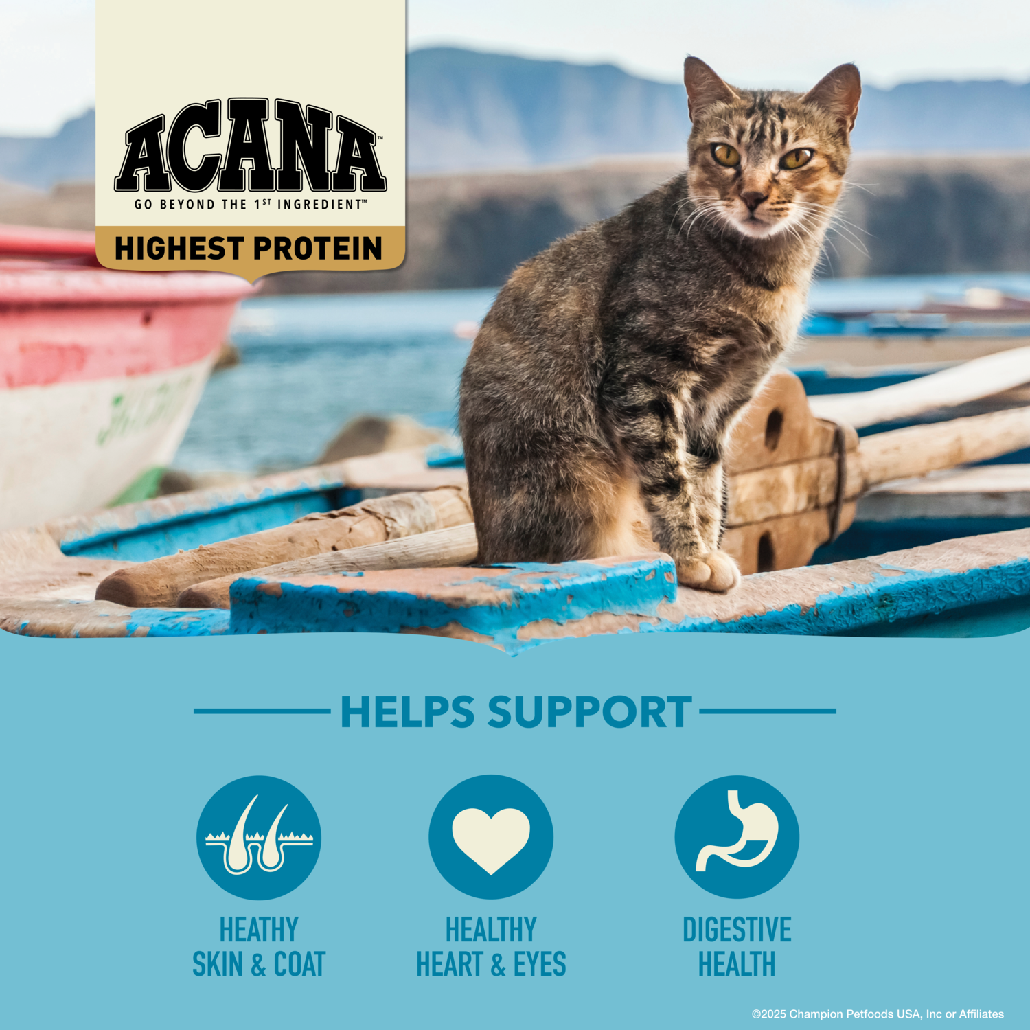 Acana Grain-Free Dry Cat Food, Wild Atlantic, Saltwater Fish With Freeze-Dried Liver, 4-Lb