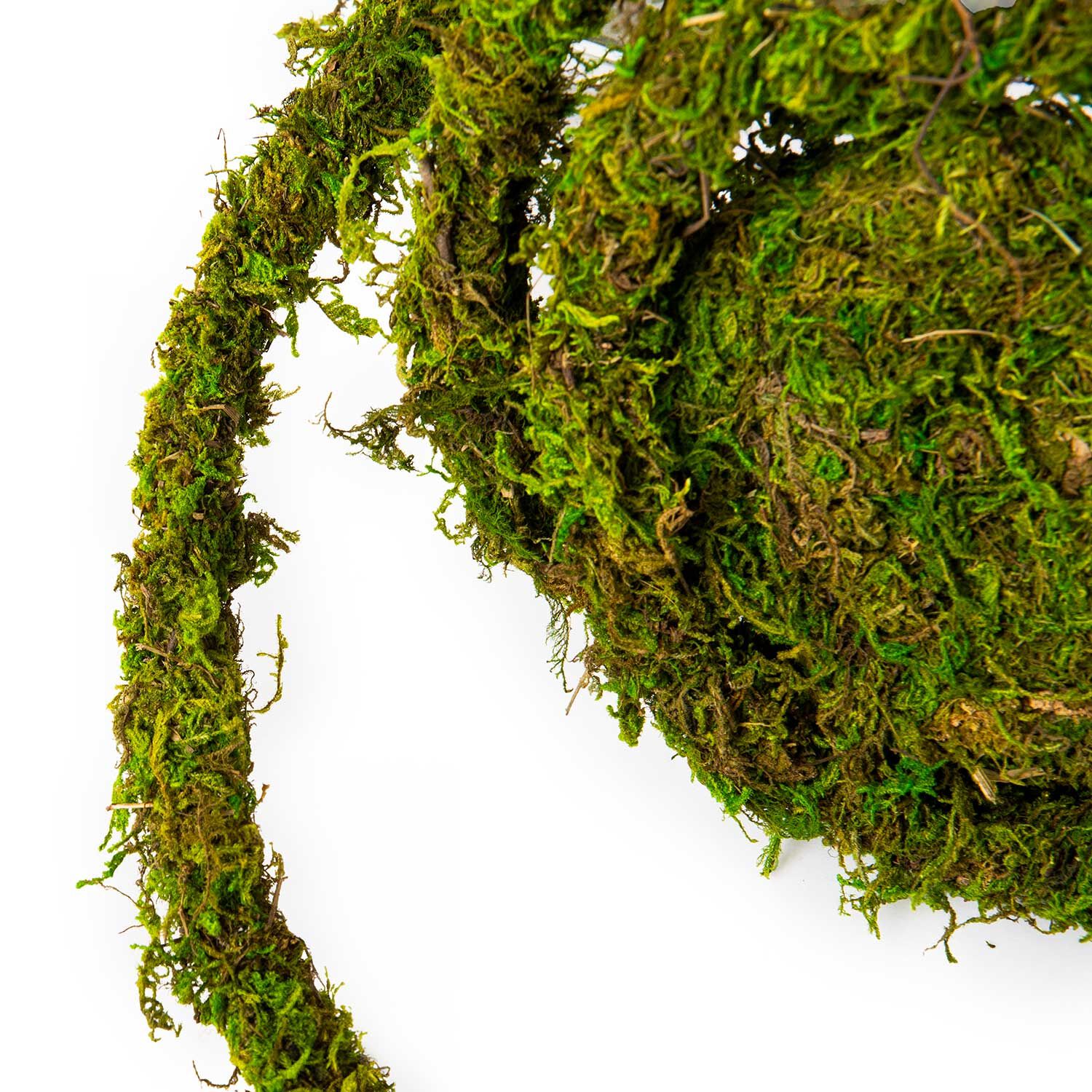 Gal&aacute;pagos Natural Moss Vine Reptile Habitat Decor, Boxed, 12-Ft