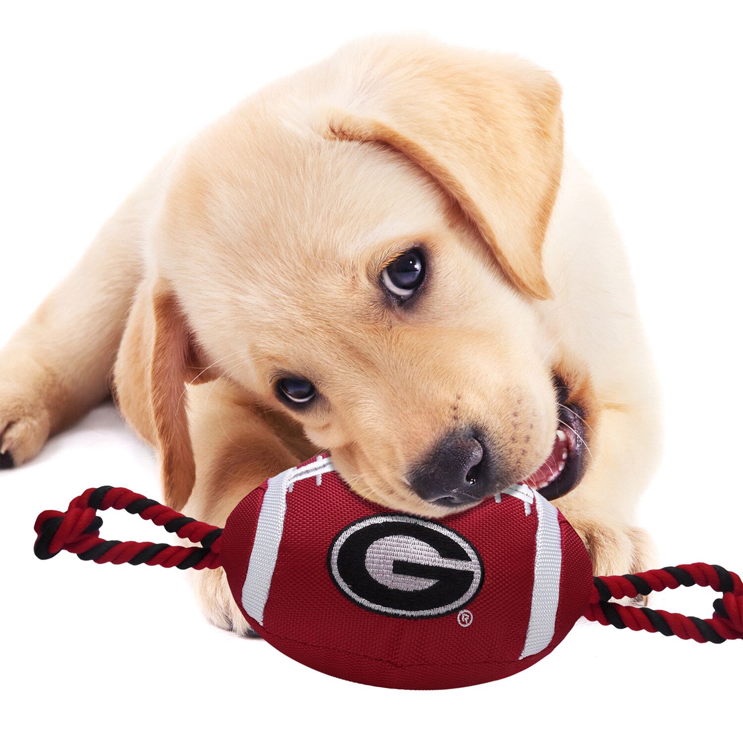 Pets First University Of Georgia Football Rope & Tug Squeaky Dog Toy, 17"