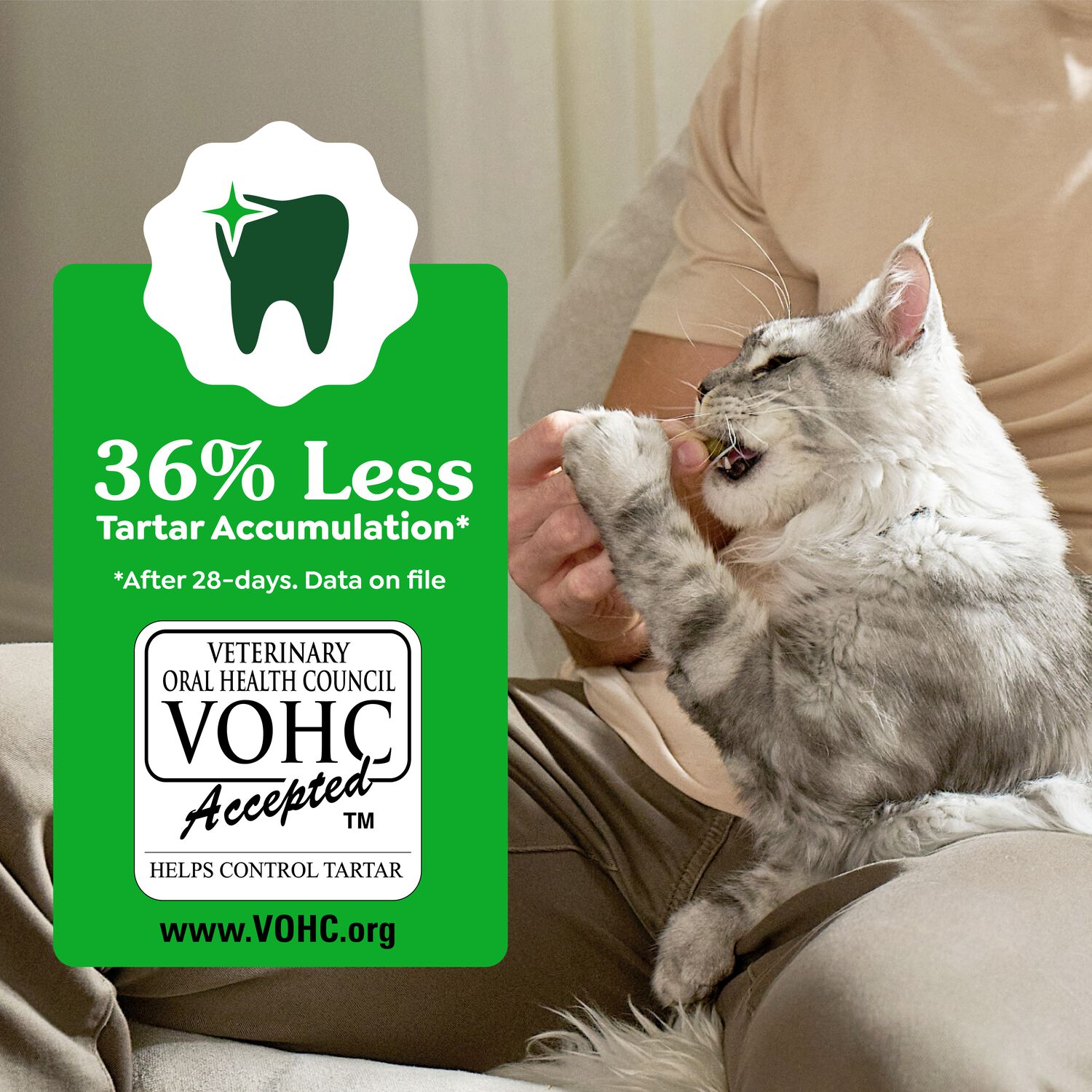 Greenies Feline Natural Crunchy Catnip Flavor Dental Cat Treats, 2.1-Oz