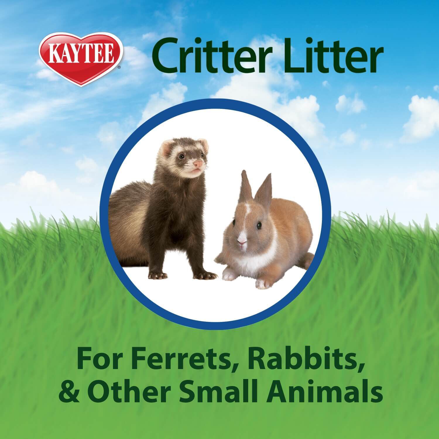 Kaytee Critter Litter Potty Training Litter, 4 Lb 4lb Pet Supermarket