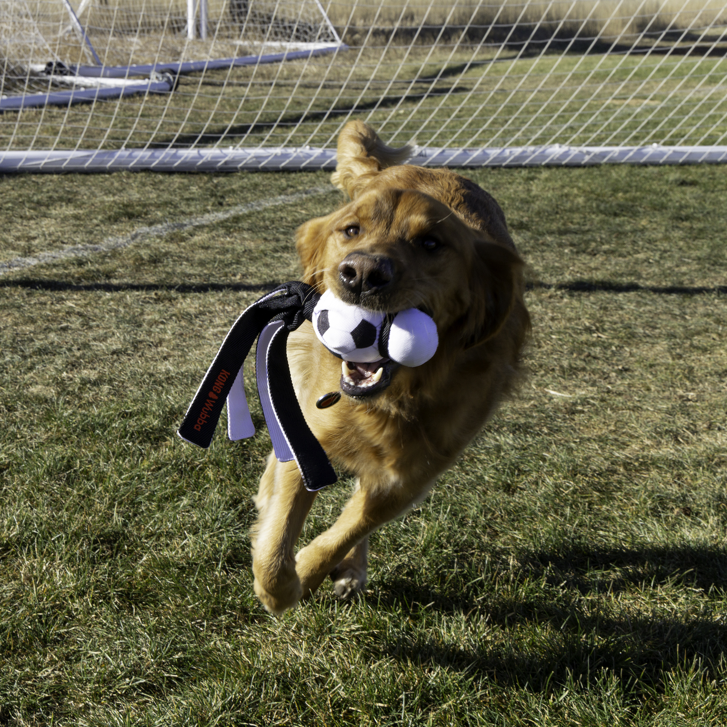 Kong Wubba Sport Soccer Ball Dog Toy, 1 Each