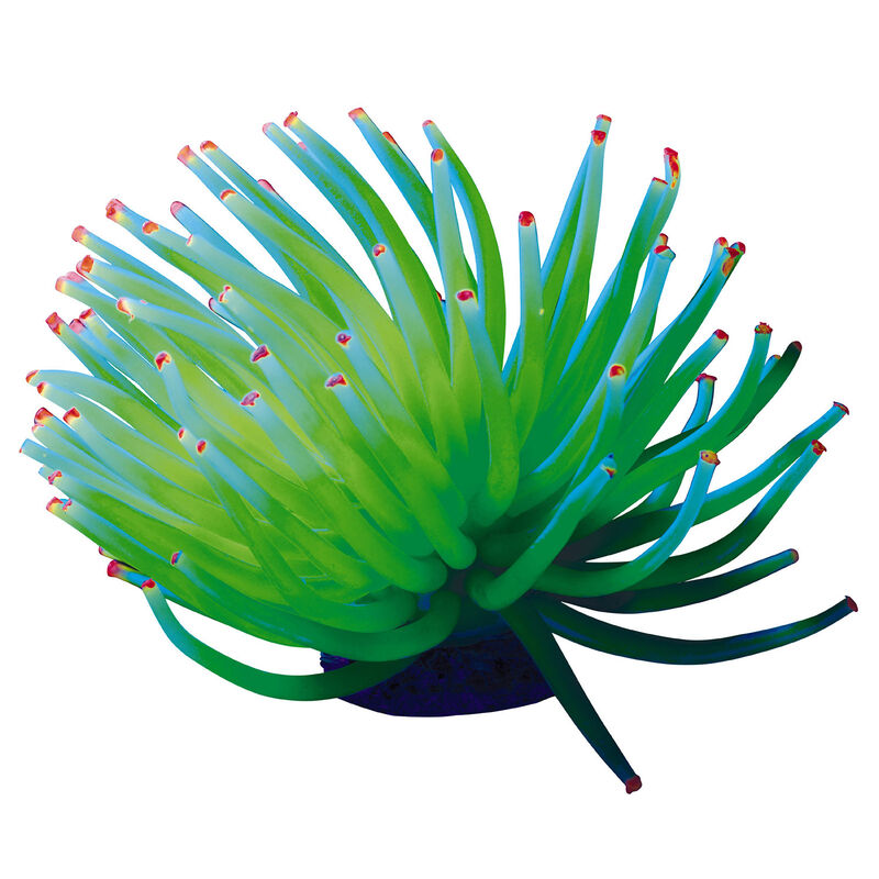 Anemone Ornament image number 2