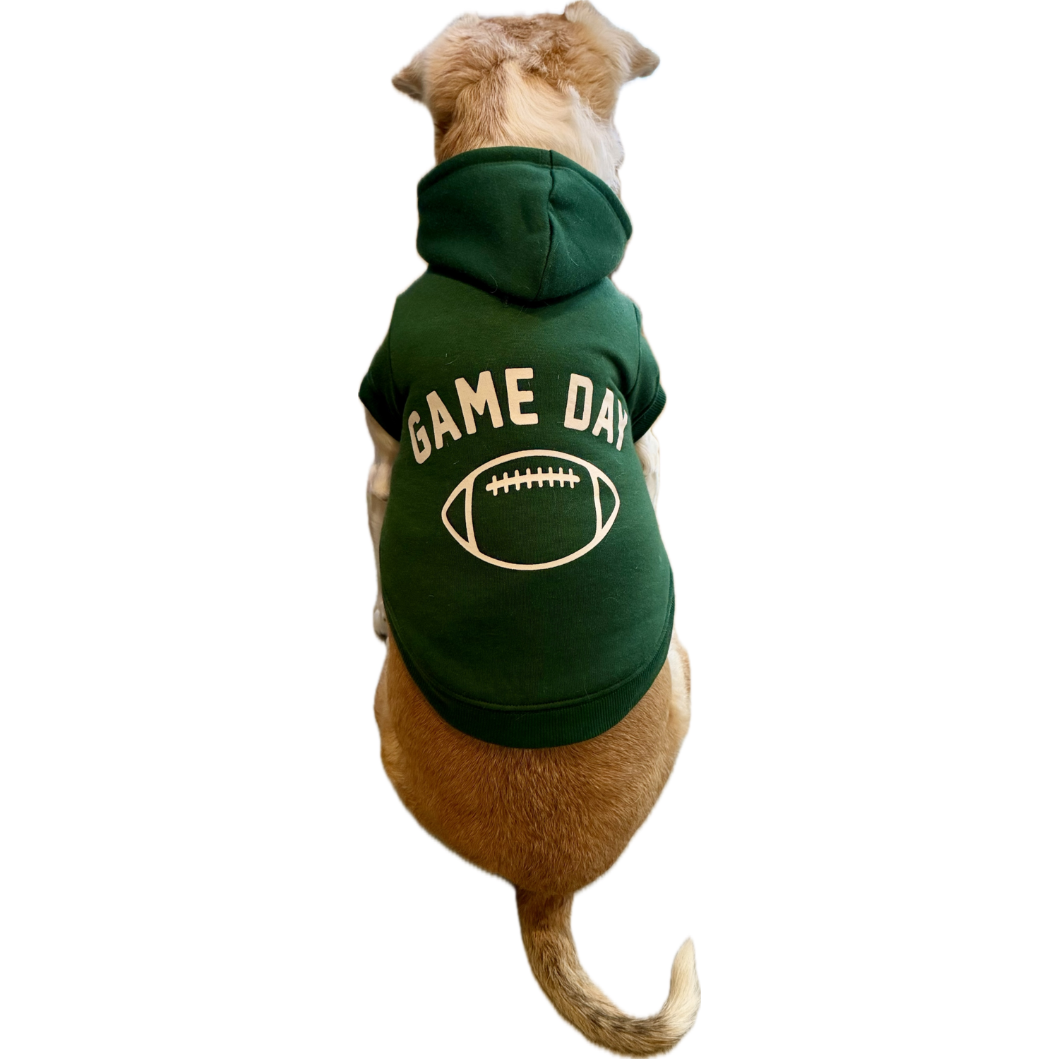 Aristopet Green Game Day Football Dog Hoodie