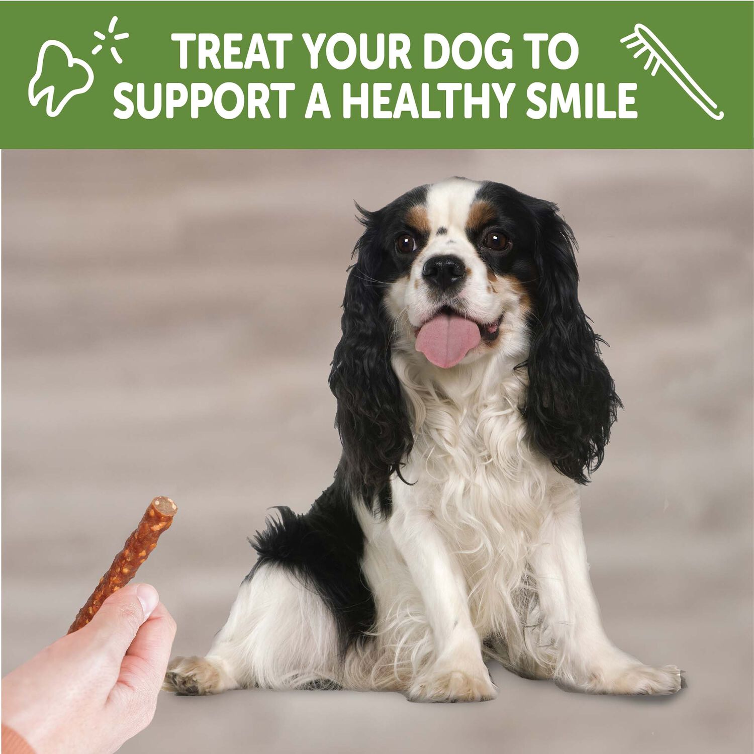 Wellness Whimzees Veggie Sausage Grain Free Dental Dog Treats, Small, 1 Count