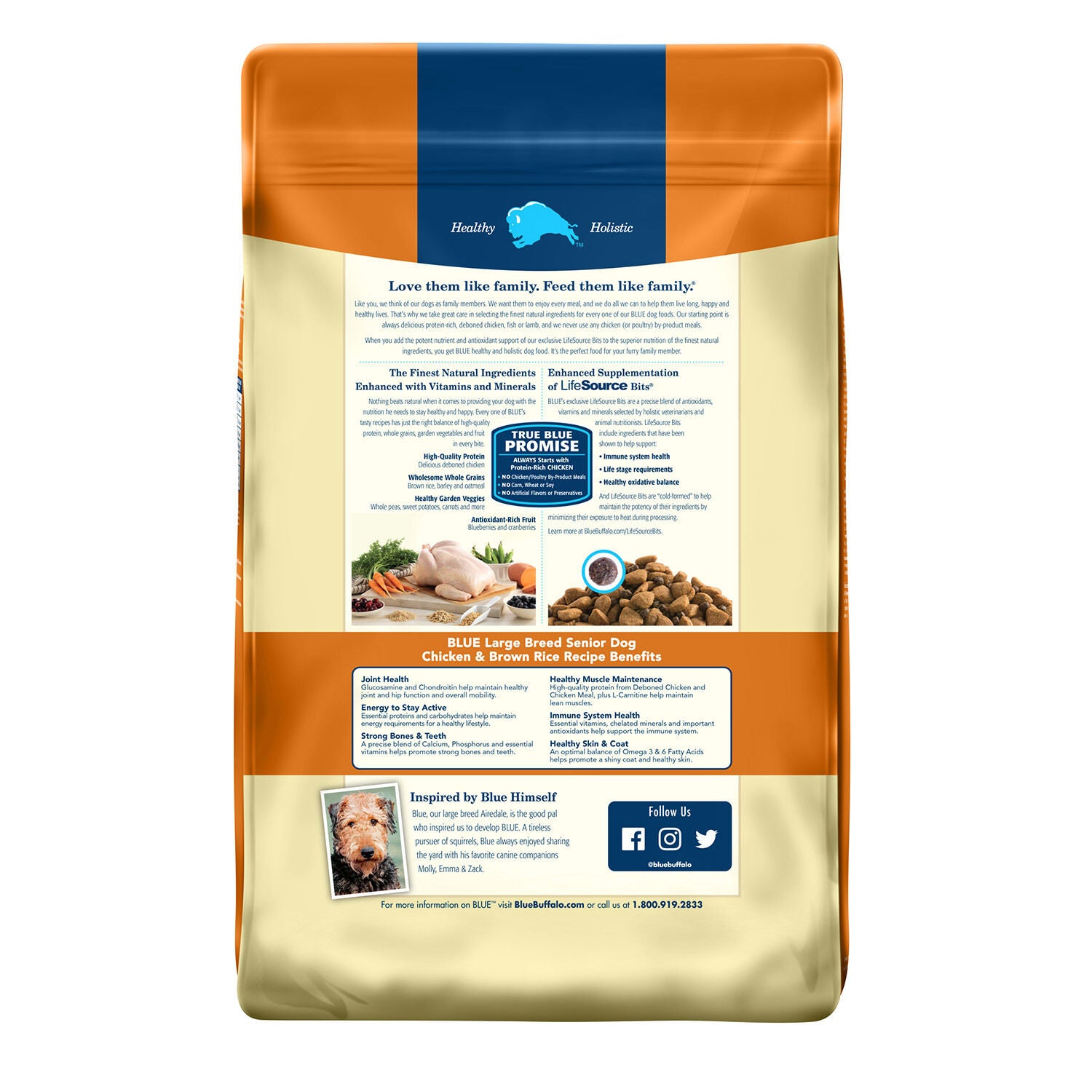 Precise holistic large top breed dog food