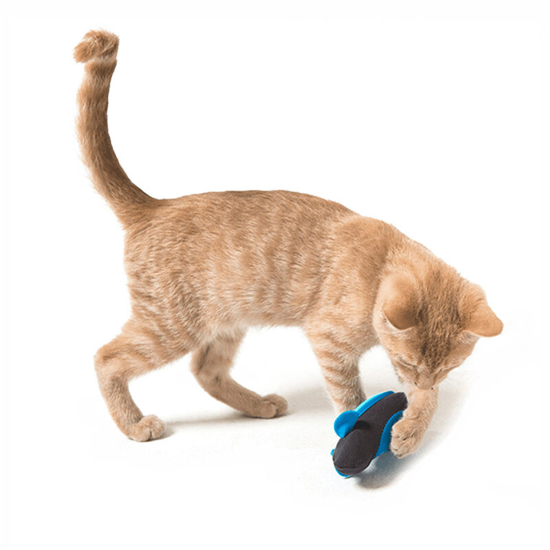 Indoor Hunting Cat Food/Treat Dispenser image number 6