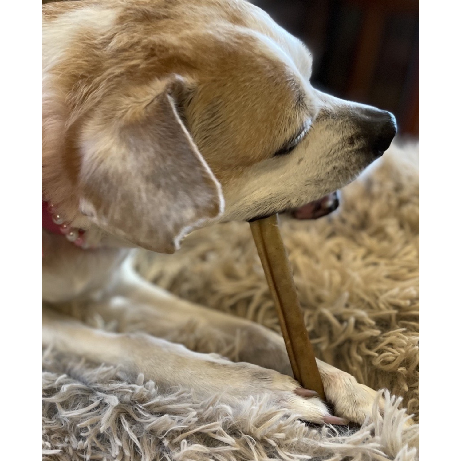 Performatrin Ultra&nbsp;Bully Chewers Odor-Free Rawhide Alternative Dog Treat Chews, 6" - Pack Of 4