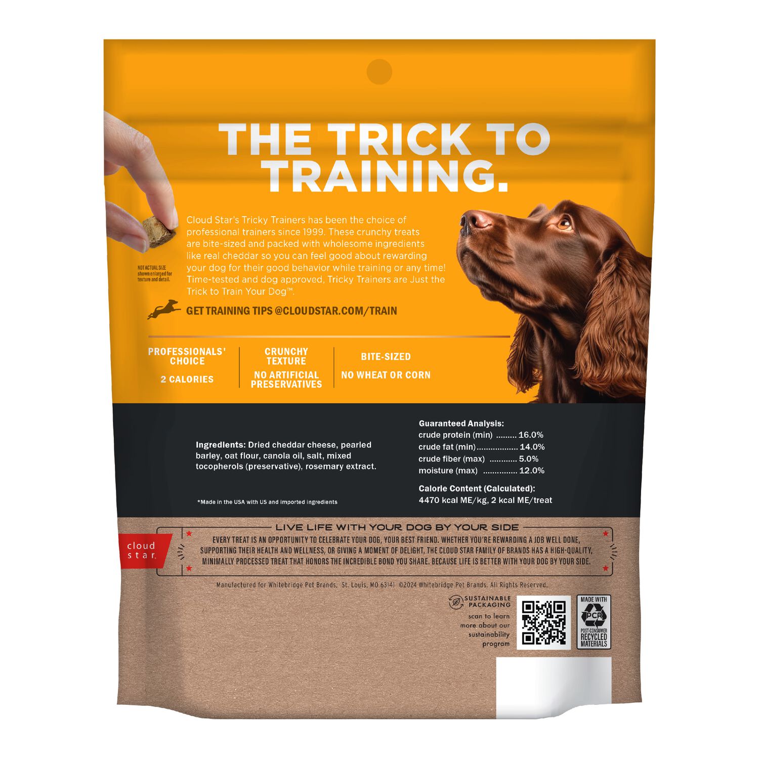 Tricky Trainers Crunchy Dog Treat, Cheddar, 8-Oz Bag
