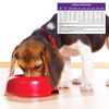 Small Breed Complete Health Puppy Dog Food thumbnail number 3