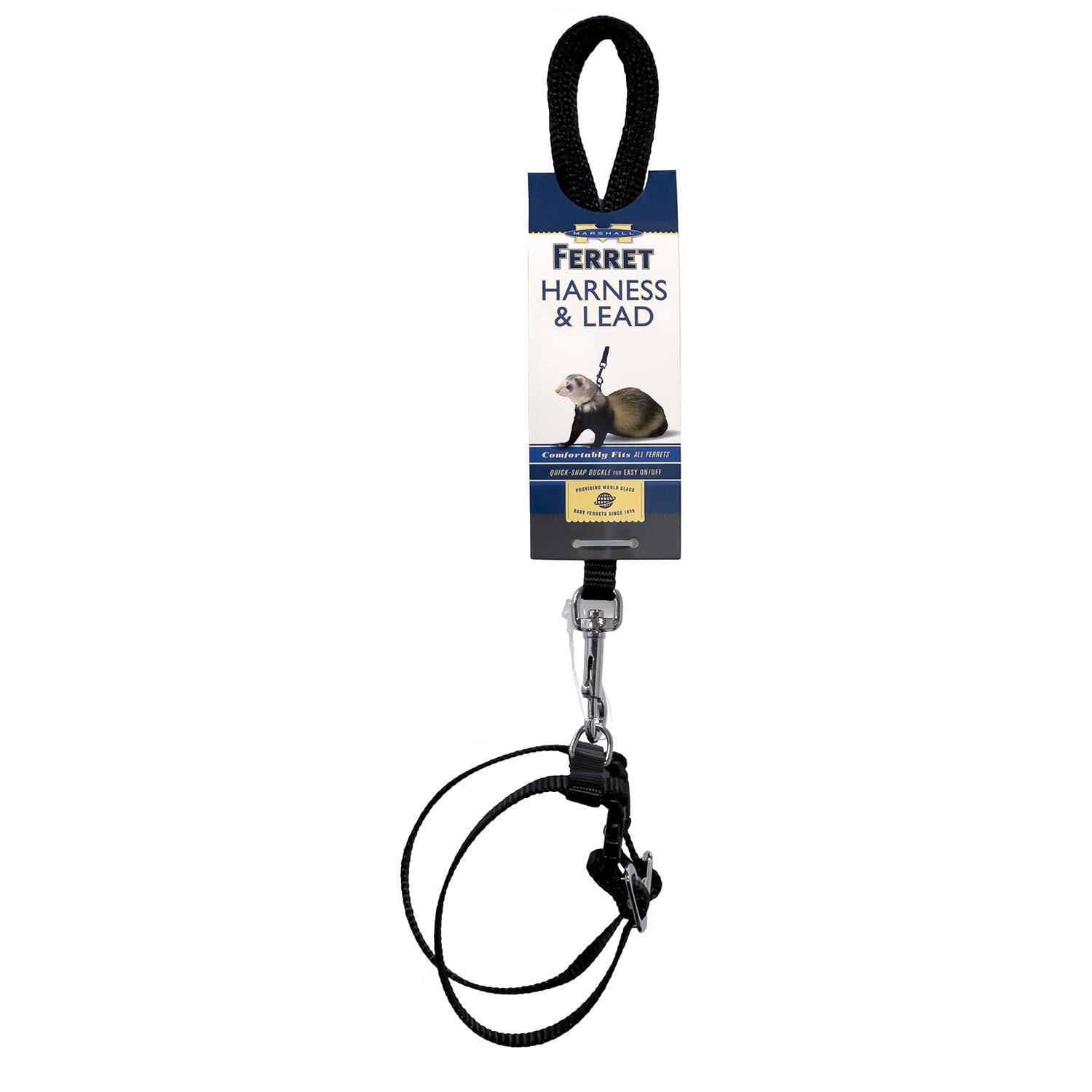 Marshall Harness & Lead, Black For Small Animals
