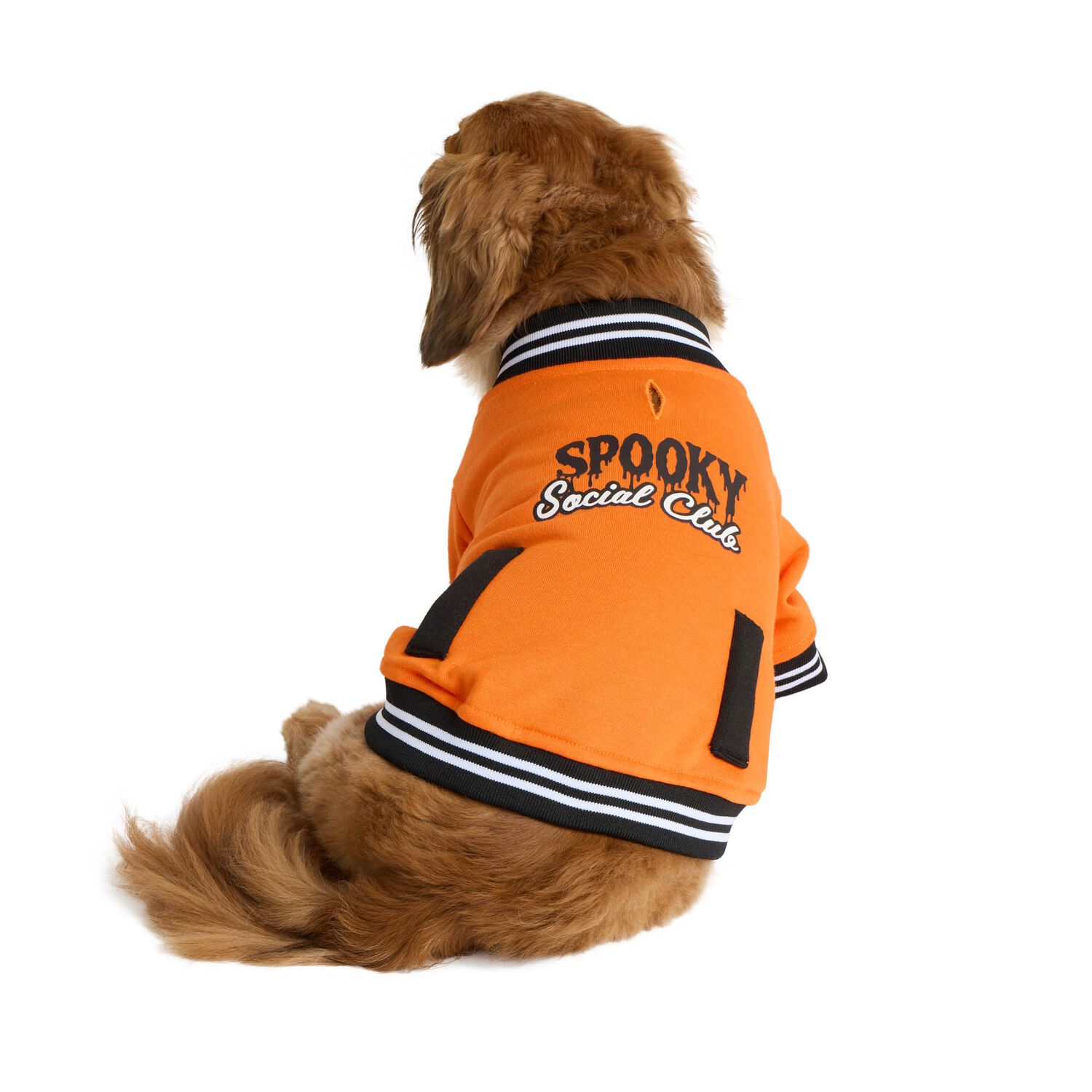 Aristopet Light French Terry Spooky Social Club Dog Jacket, Orange