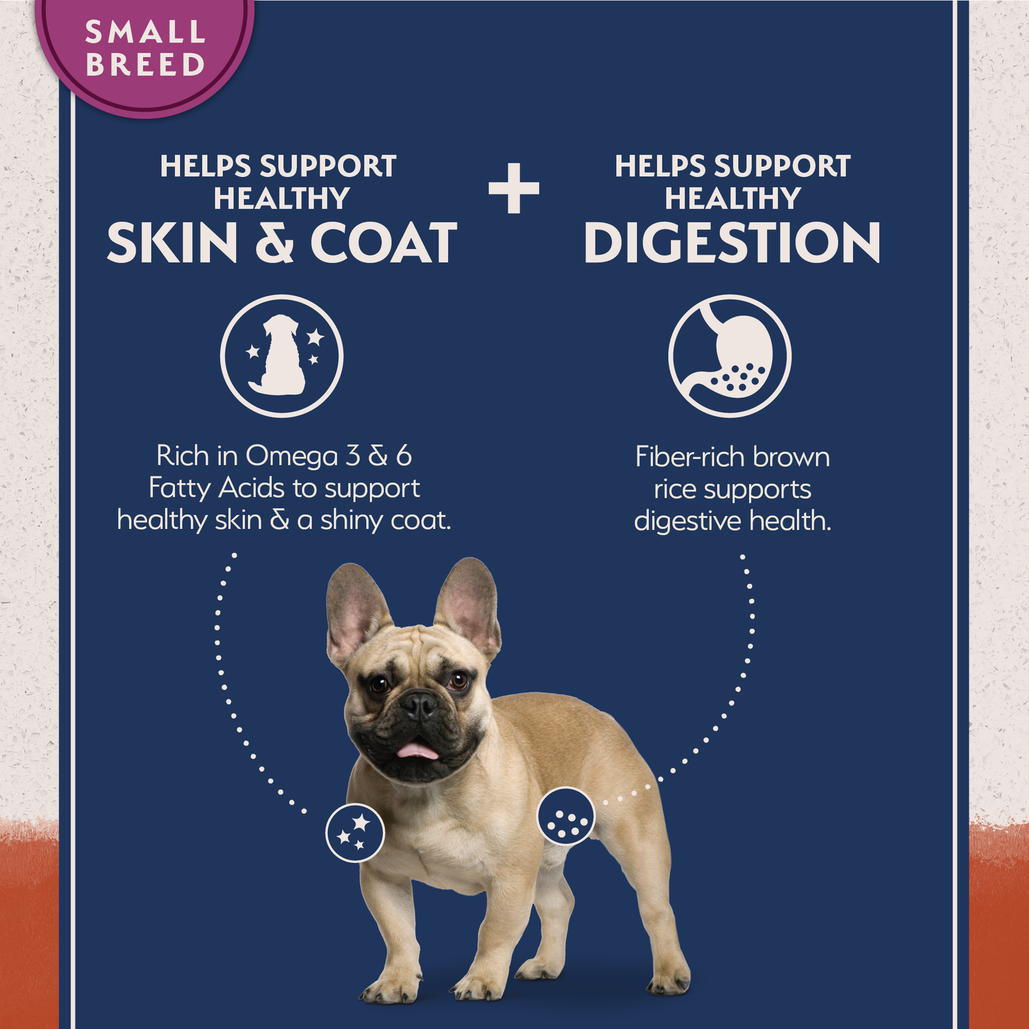 Natural Balance Limited Ingredient Grain-Free Small Breed Salmon & Sweet Potato Recipe Dry Dog Food, 4-Lb Bag