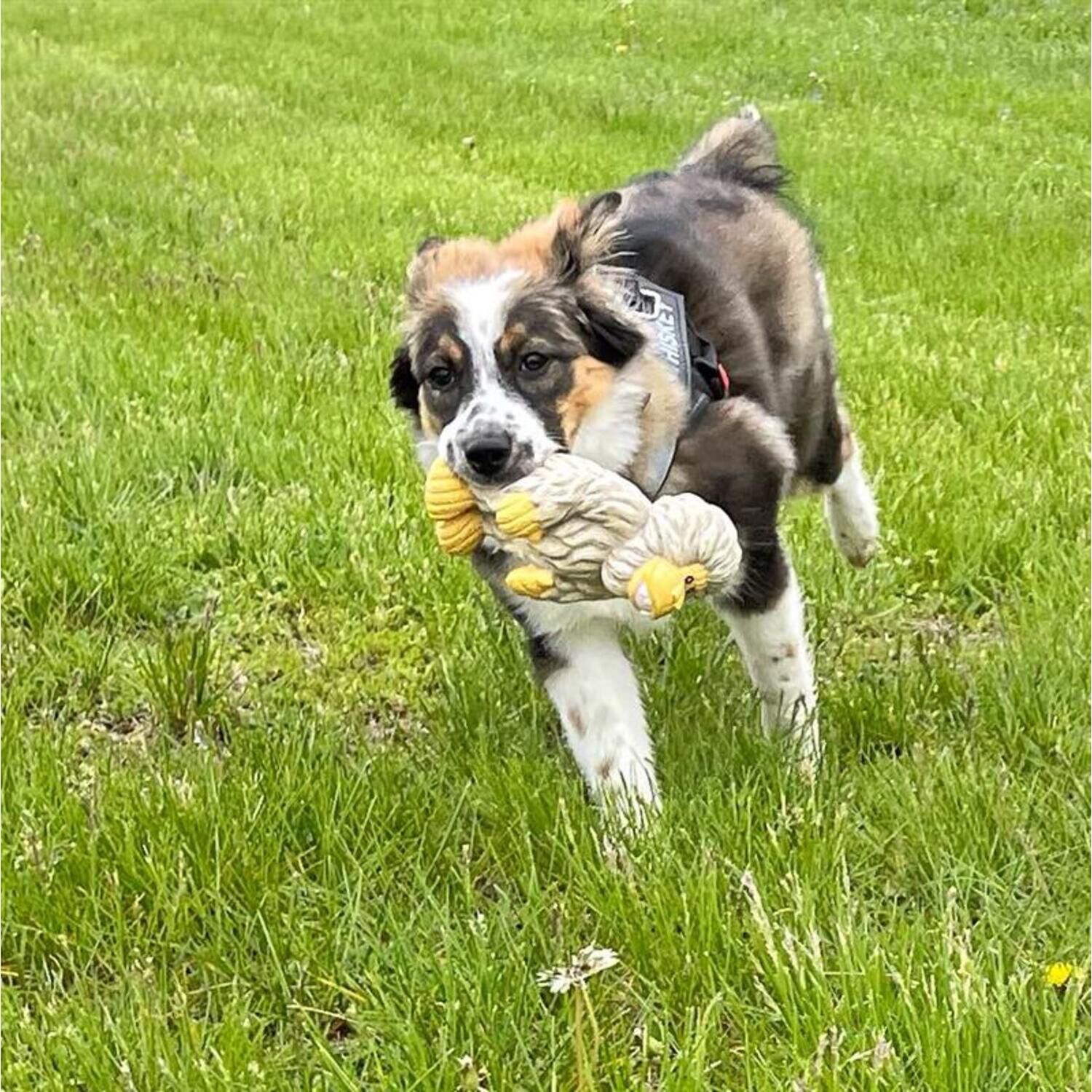Tall Tails Yeti Latex Squeaker Dog Toy, 7"