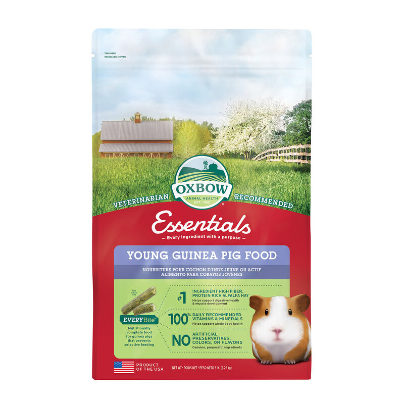 Essentials Young Guinea Pig Food image number 1