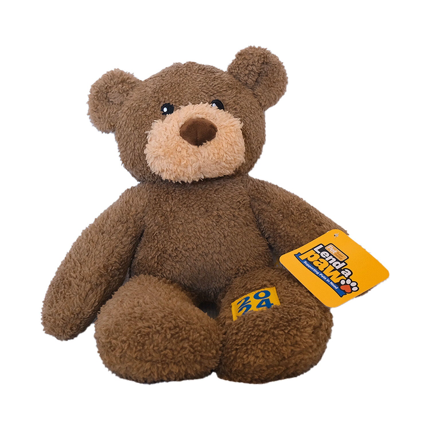 Pet Supermarket 2024 Year Bear Squeaky Dog Toy, 14