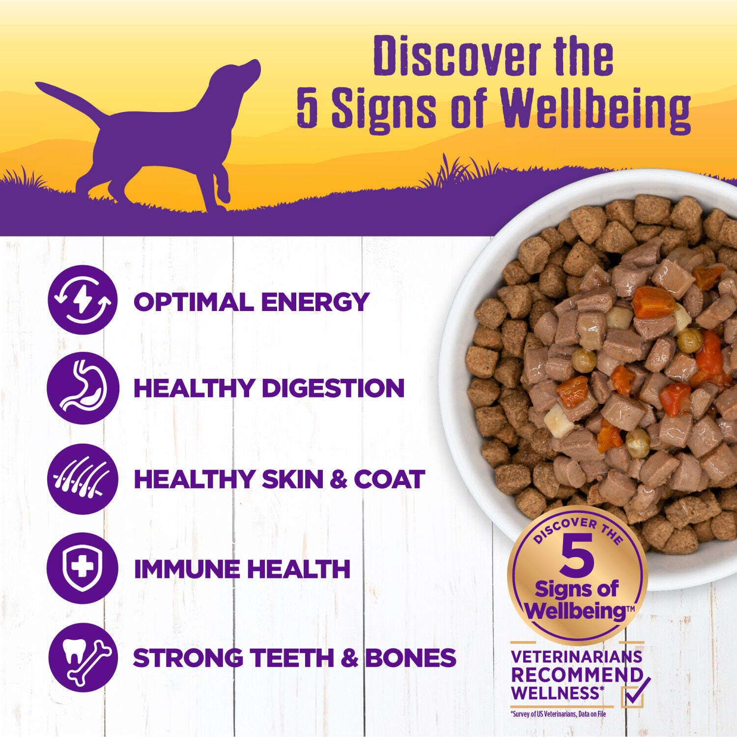 Wellness Complete Health Grain Free Canned Wet Dog Food, Beef Stew, 12.5-Ounce Can Pack Of 12