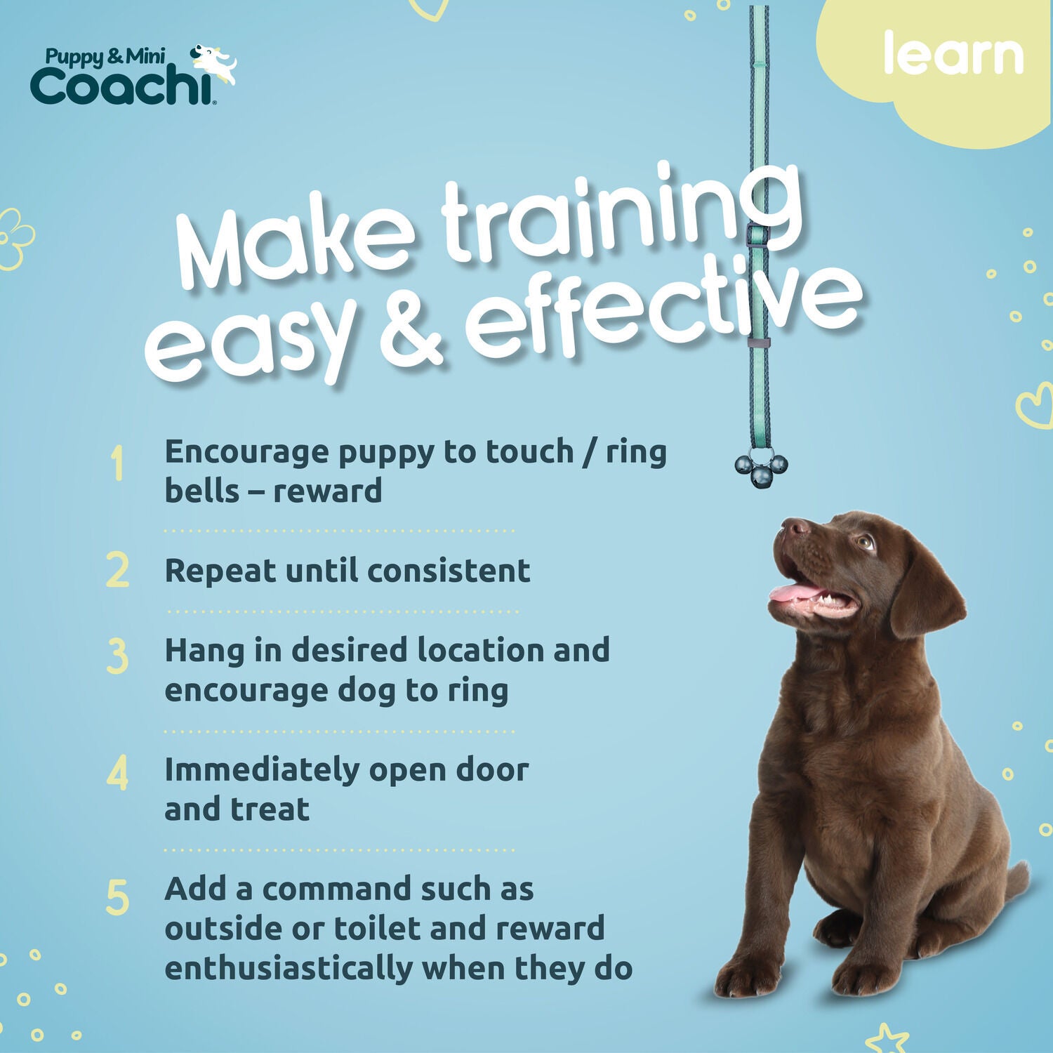 Coachi Puppy & Mini Dog Training Bells, Teal And Mint