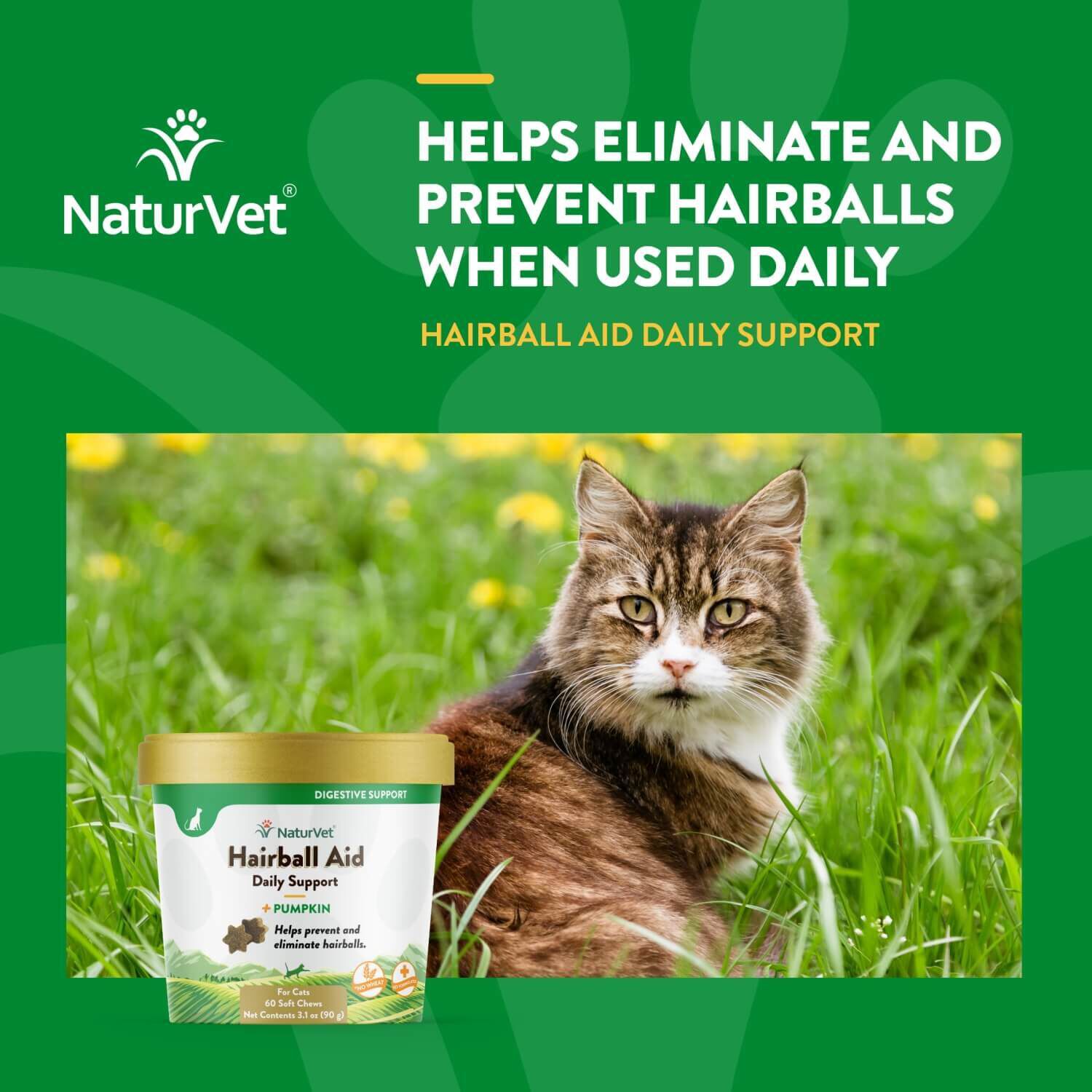 Naturvet Hairball Aid Daily Support + Pumpkin Soft Chew Supplement For Cats, 60Ct