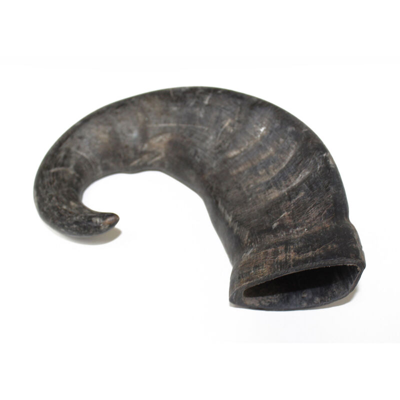 Water Buffalo Bully Horn Dog Treat image number 1
